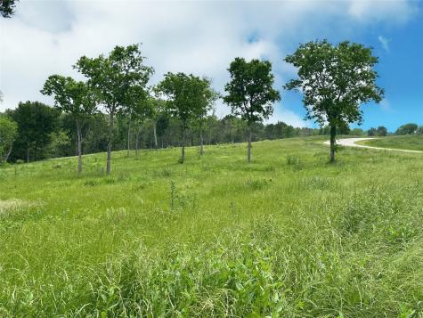 Lot 81 & Slp#17 Shoreside Drive Corsicana TX 75109