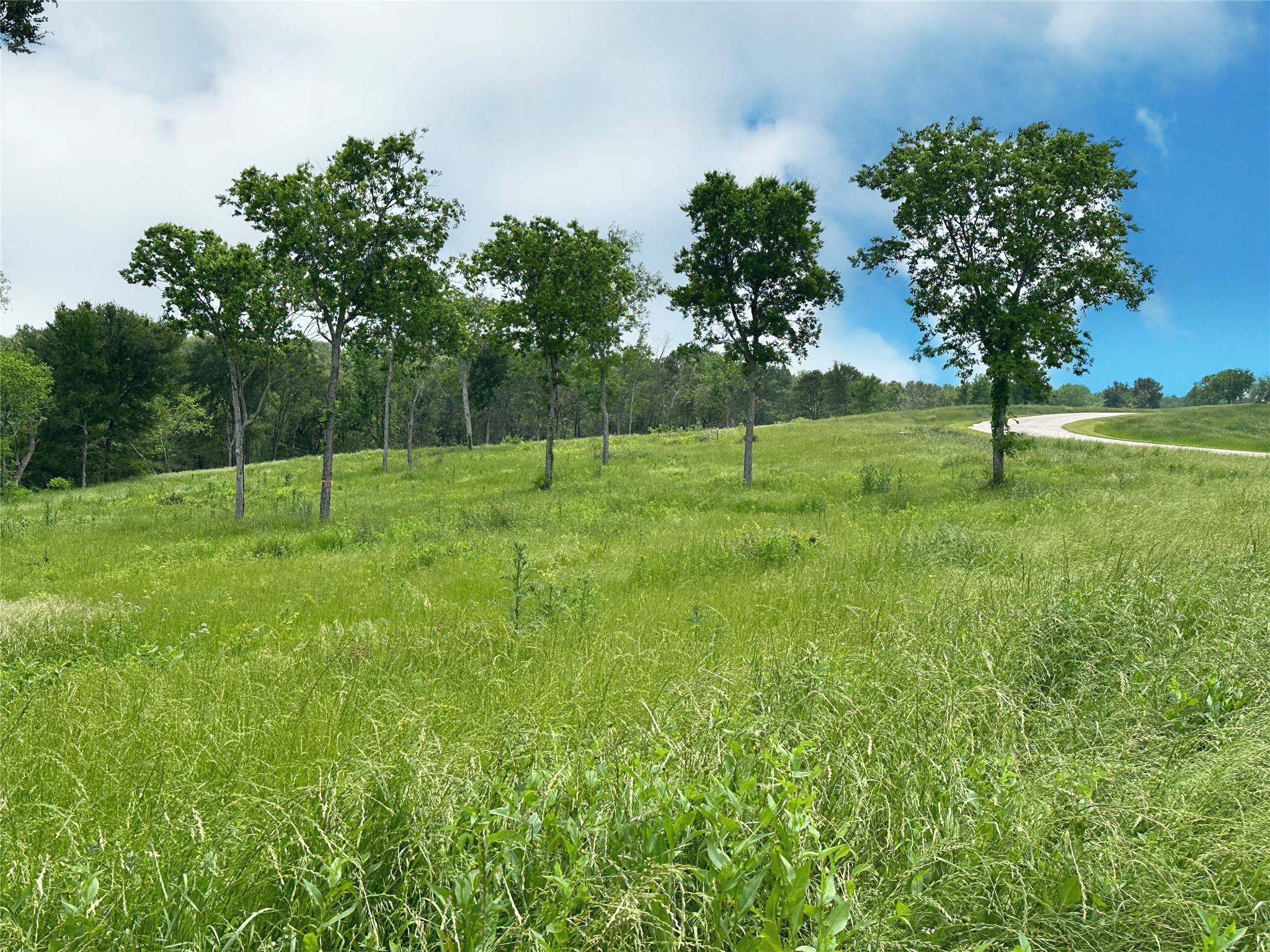 Lot 81 & Slp#17 Shoreside Drive Corsicana TX 75109