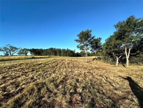 Lot 81 & Slp#17 Shoreside Drive Corsicana TX 75109