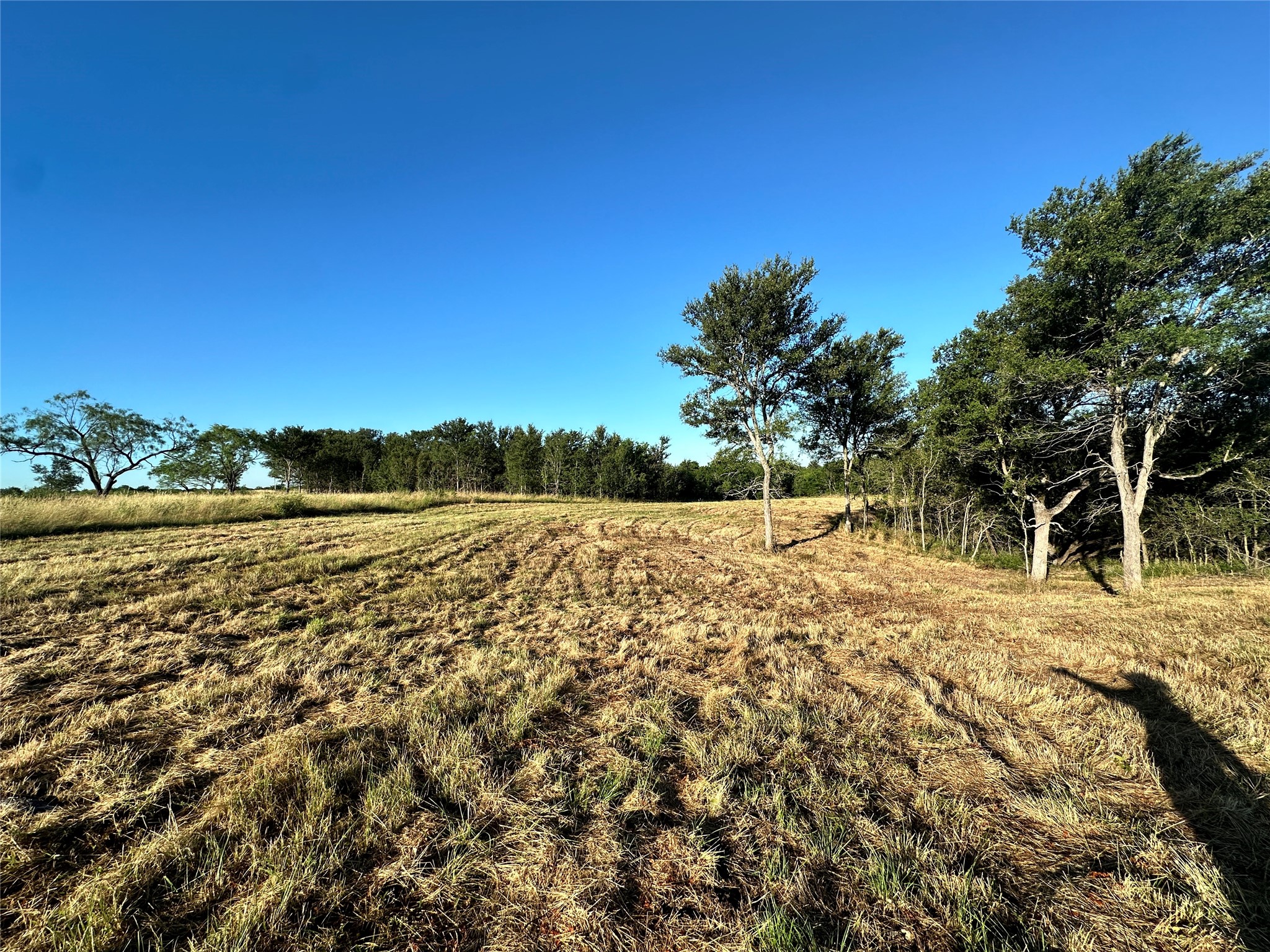Lot 81 & Slp#17 Shoreside Drive Corsicana TX 75109