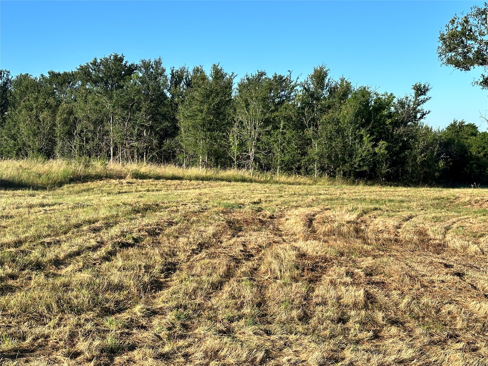 Lot 81 & Slp#17 Shoreside Drive Corsicana TX 75109