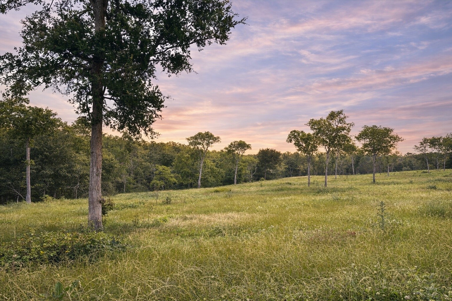 Lot 81 & Slp#17 Shoreside Drive Corsicana TX 75109