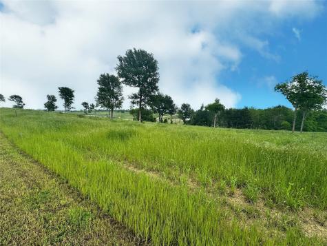 Lot 81 & Slp#17 Shoreside Drive Corsicana TX 75109