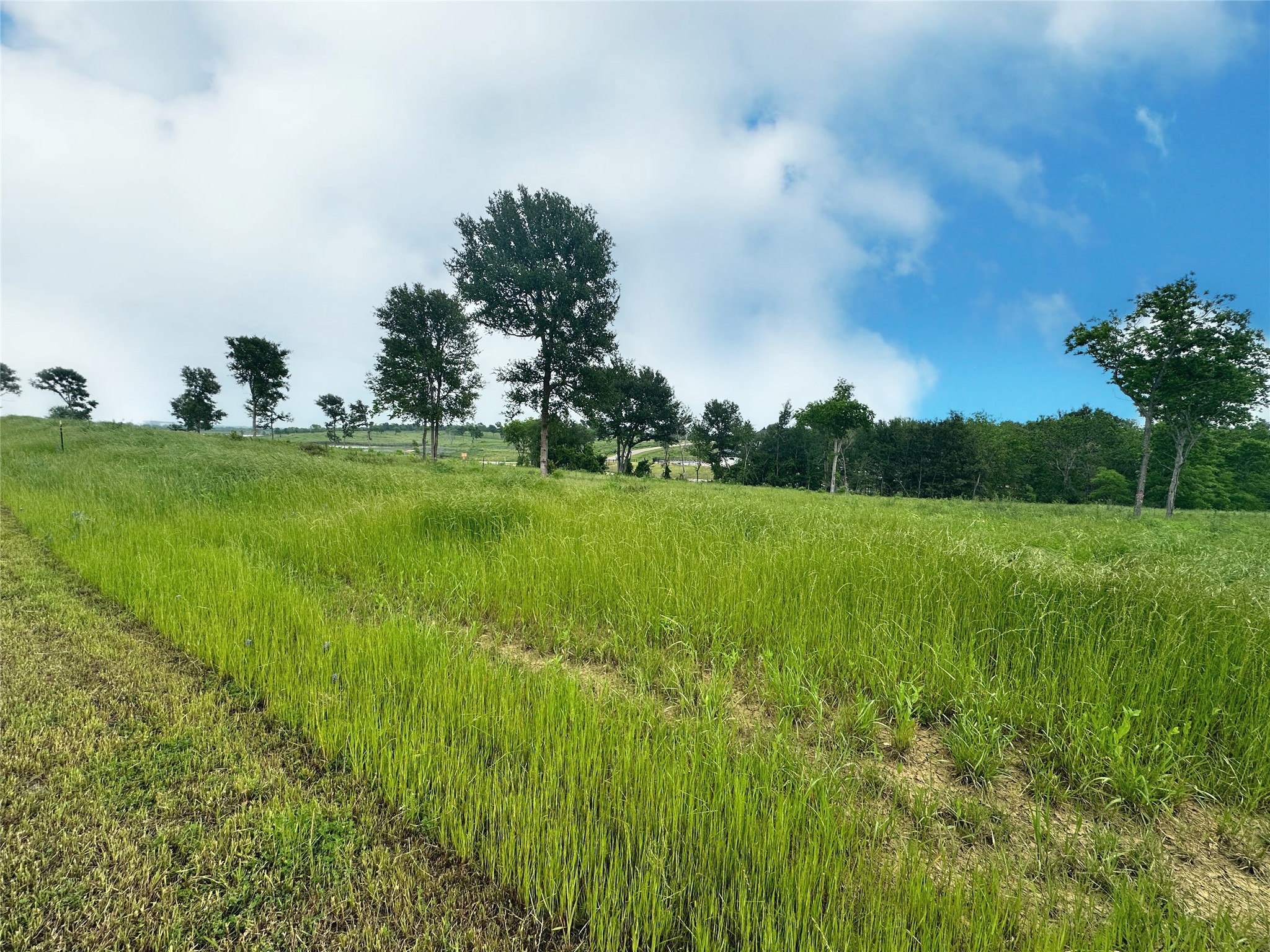 Lot 81 & Slp#17 Shoreside Drive Corsicana TX 75109