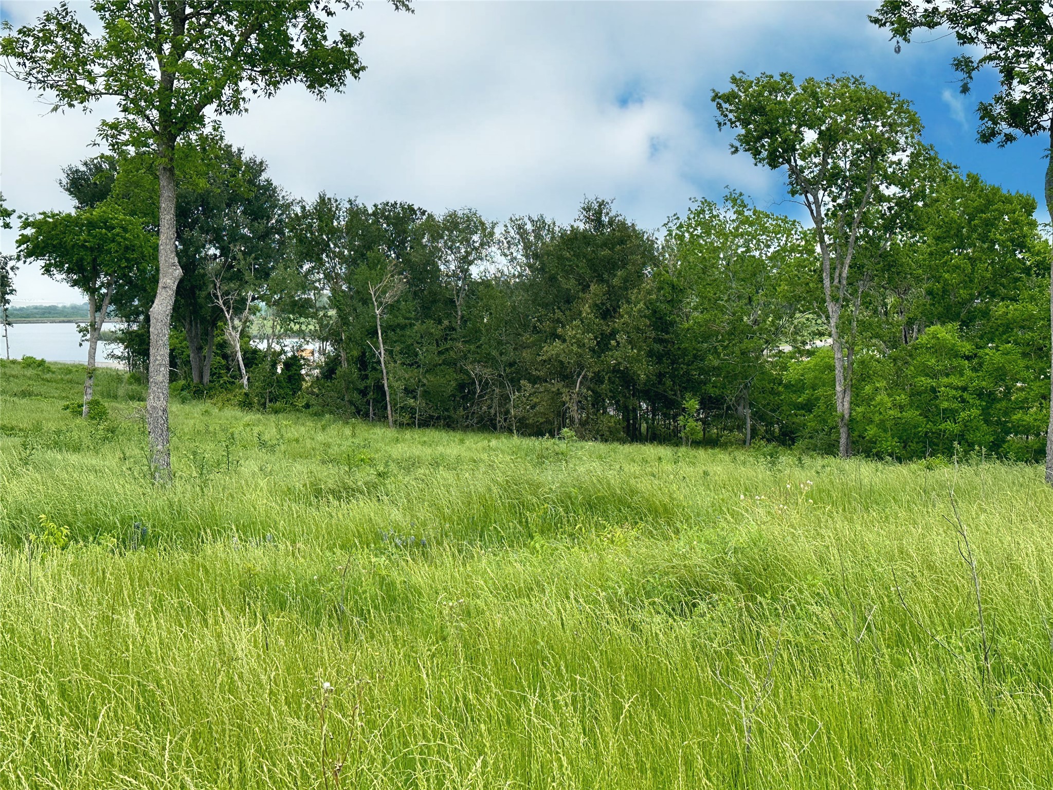 Lot 81 & Slp#17 Shoreside Drive Corsicana TX 75109