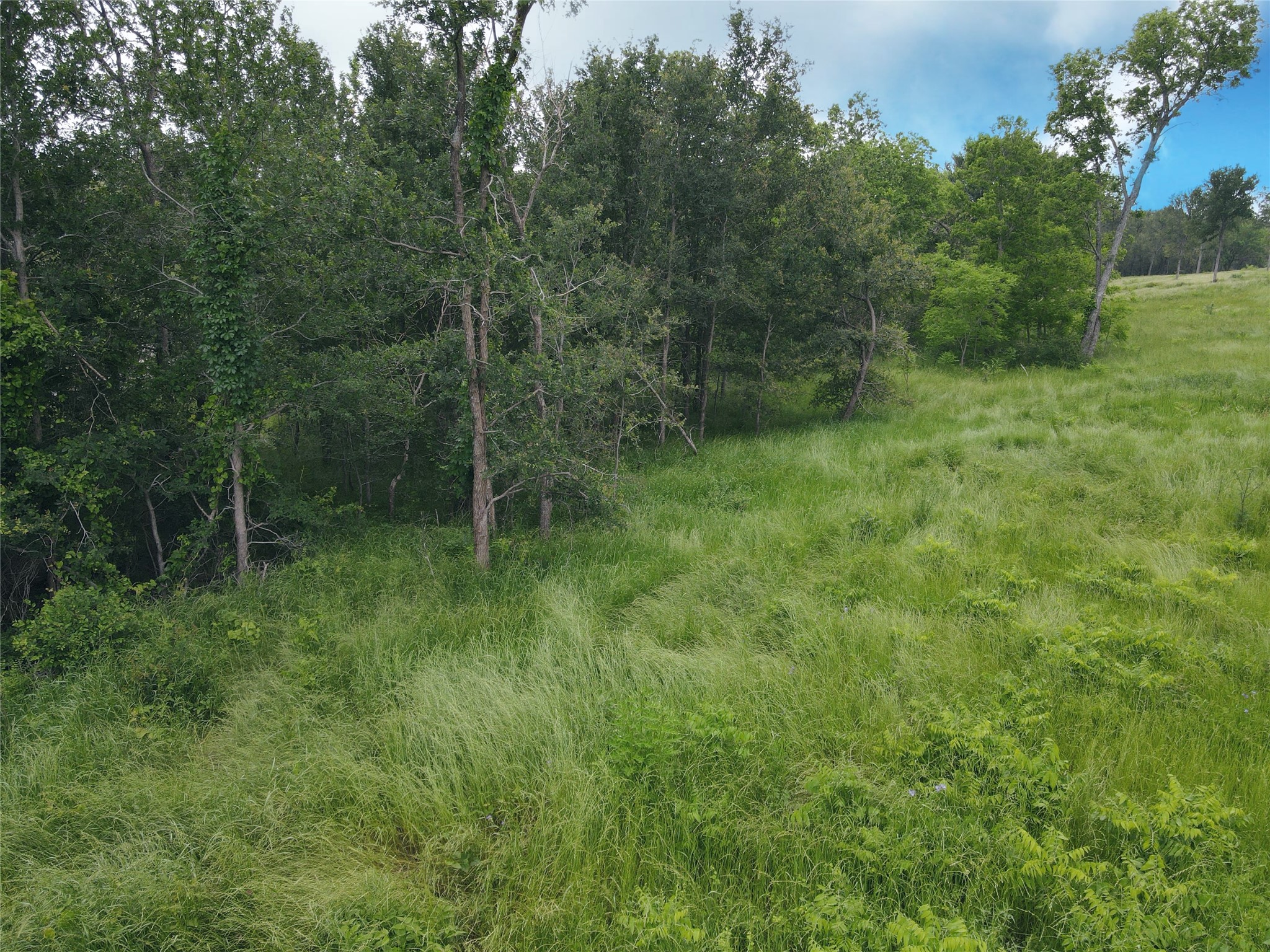 Lot 81 & Slp#17 Shoreside Drive Corsicana TX 75109
