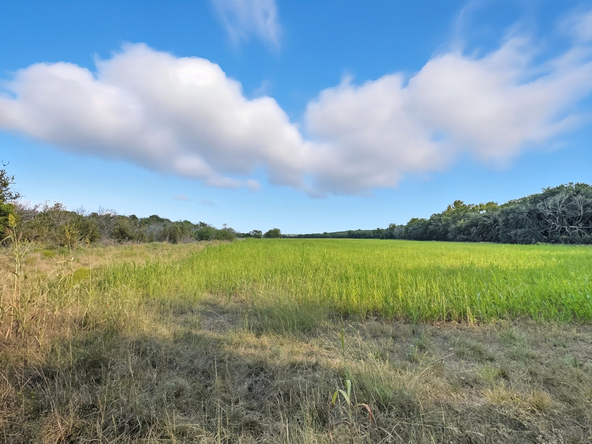 1410 County Road 221 Hamilton TX 76531