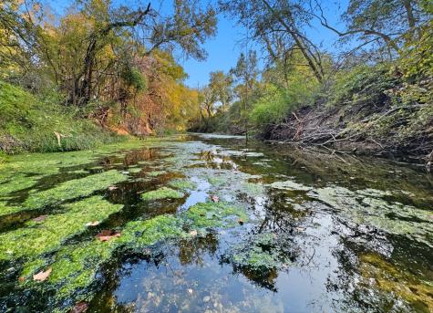 1410 County Road 221 Hamilton TX 76531