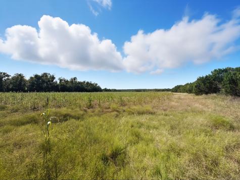 1410 County Road 221 Hamilton TX 76531