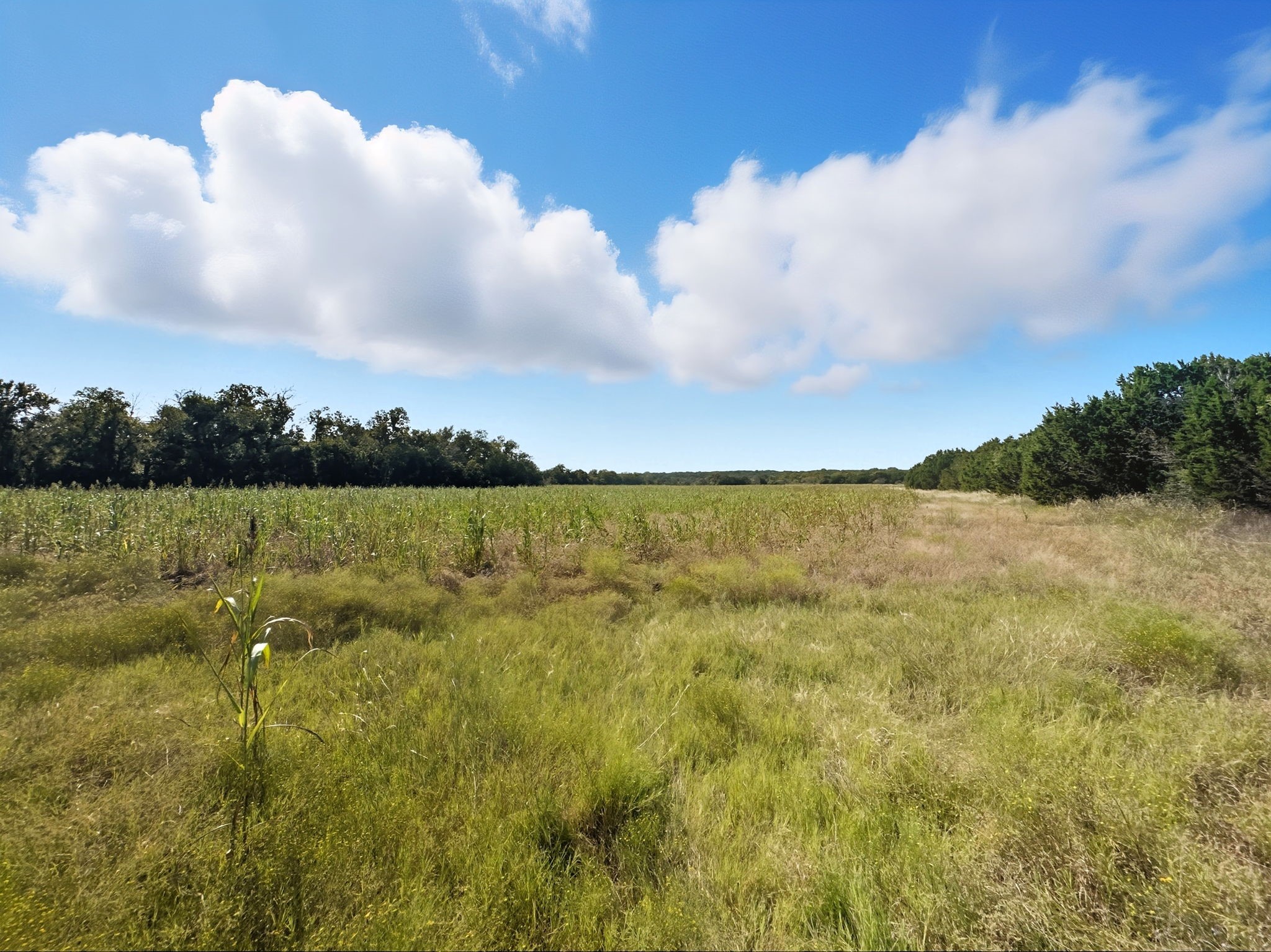 1410 County Road 221 Hamilton TX 76531
