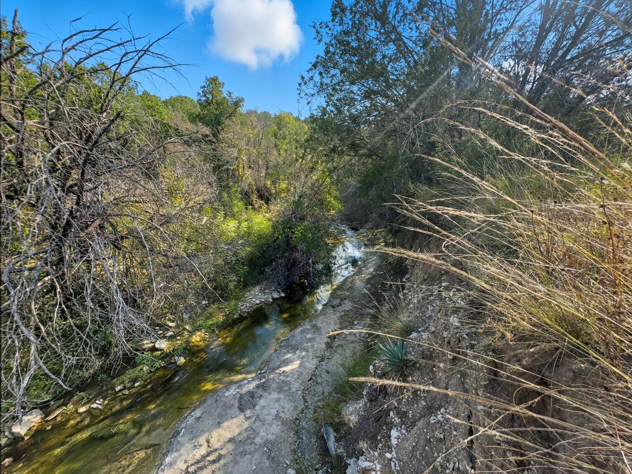 1410 County Road 221 Hamilton TX 76531