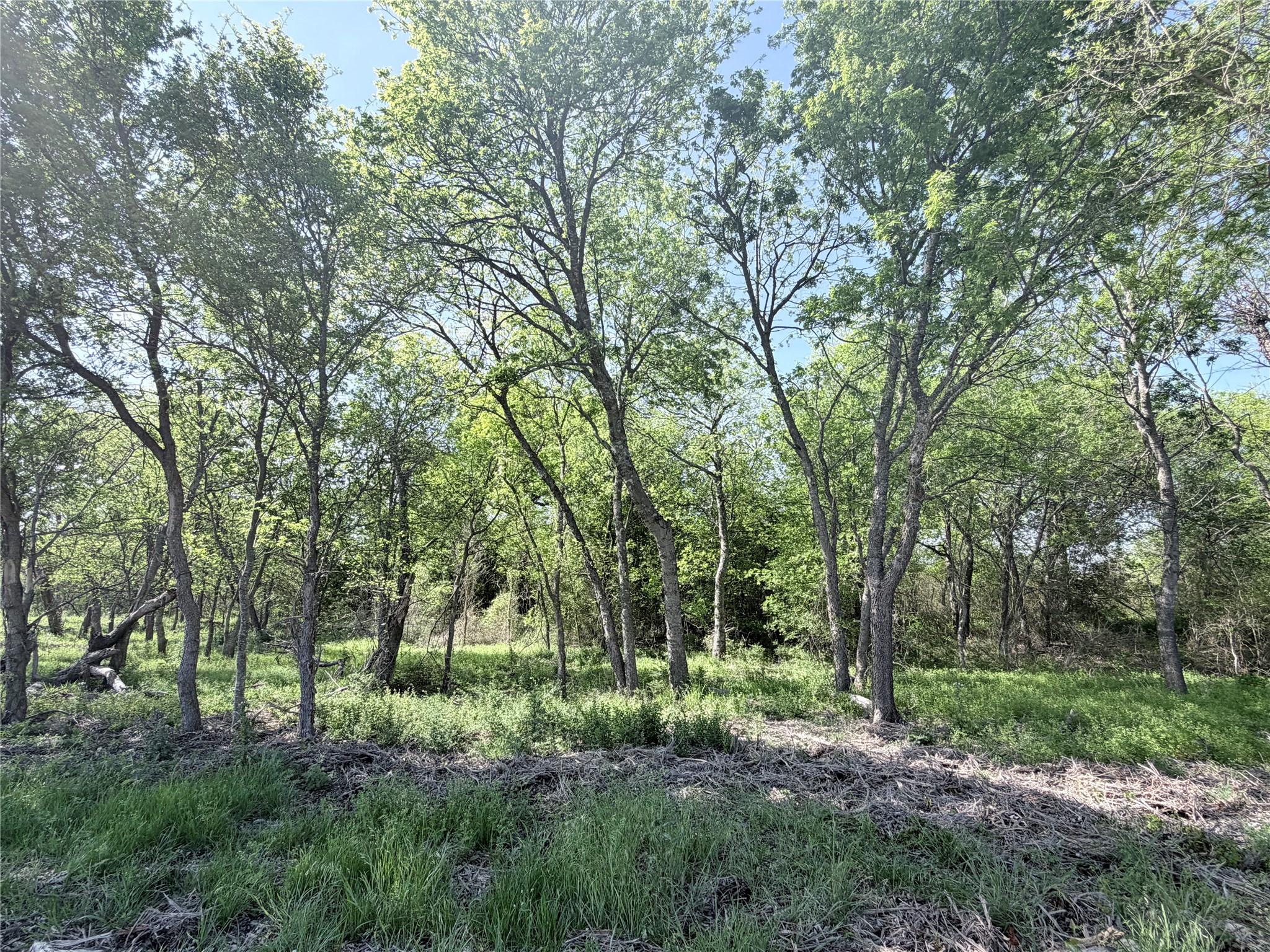 Tbd County Road 3204 Abbott TX 76621