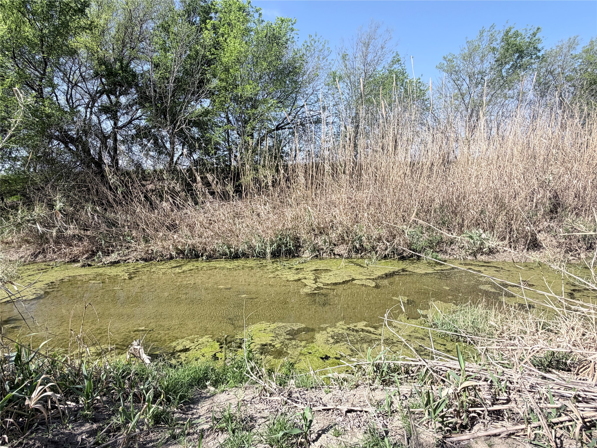 Tbd County Road 3204 Abbott TX 76621