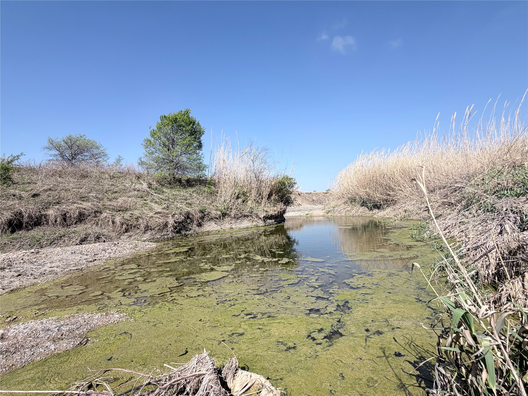 Tbd County Road 3204 Abbott TX 76621