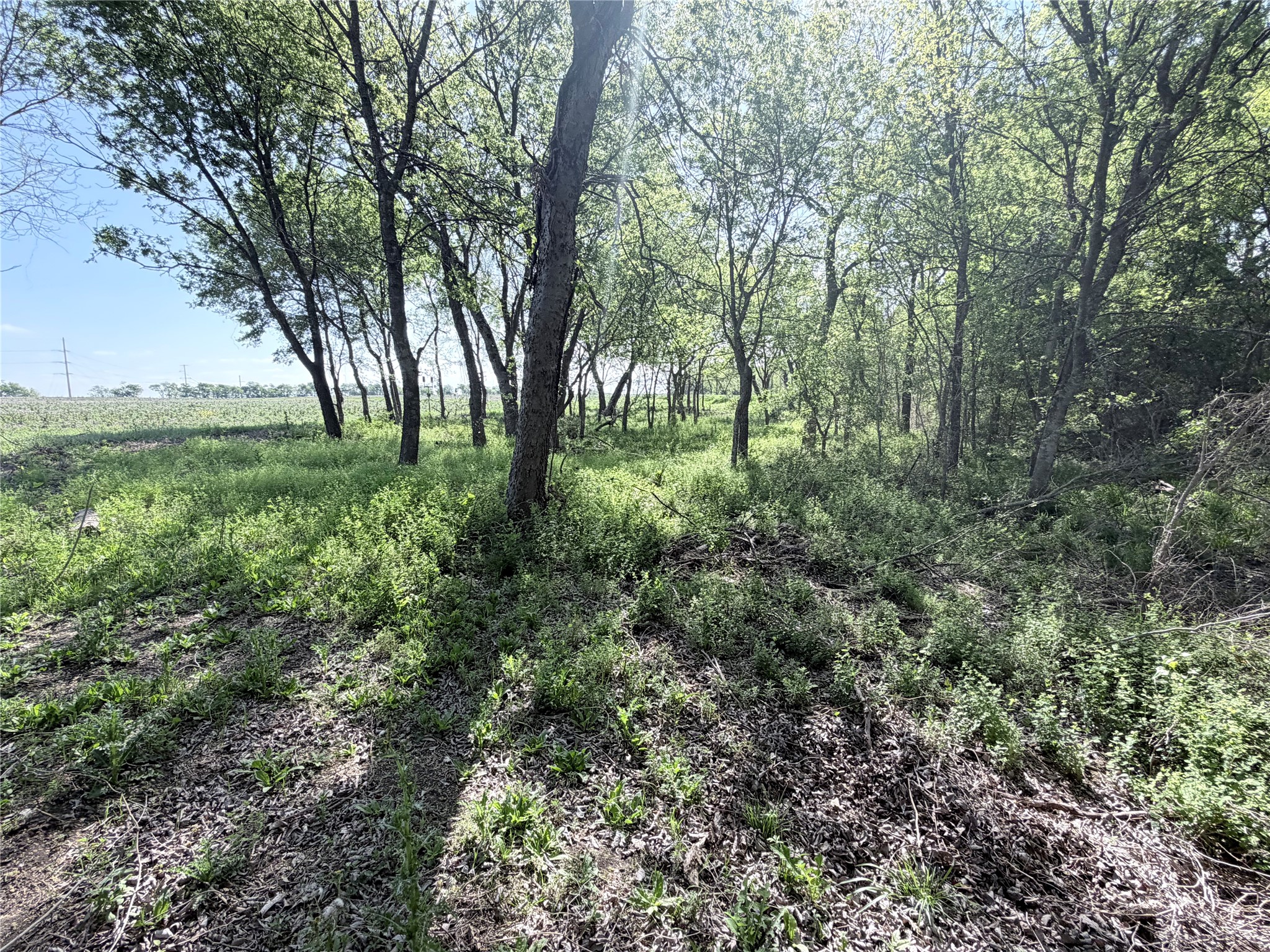 Tbd County Road 3204 Abbott TX 76621