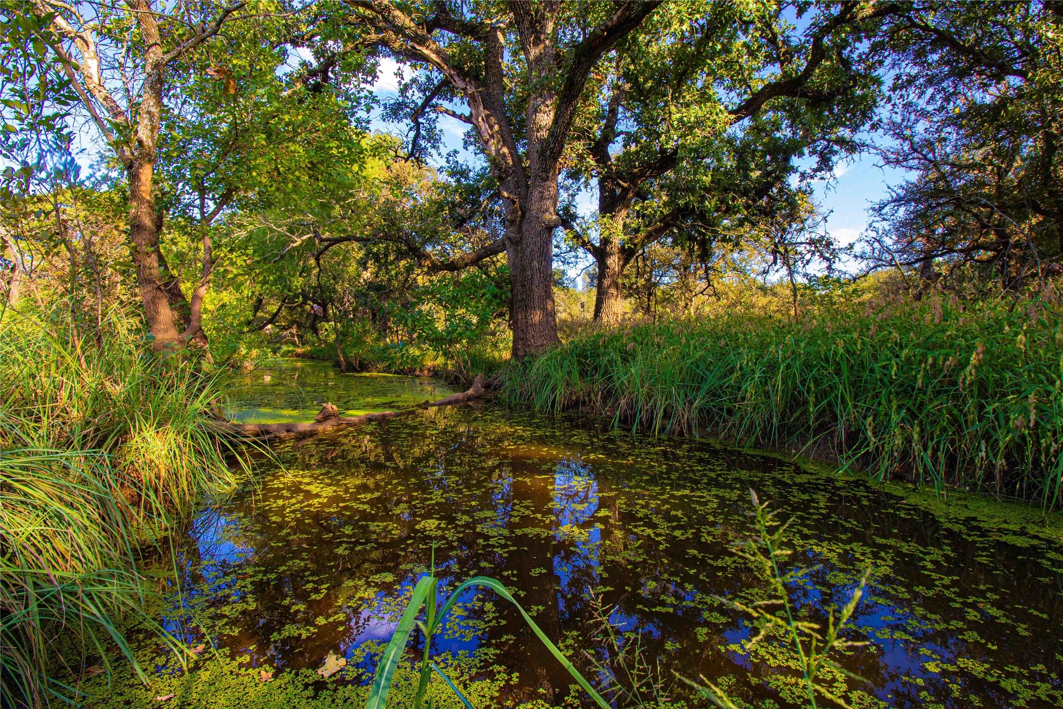 Tbd 148 Highway Jacksboro TX 76458