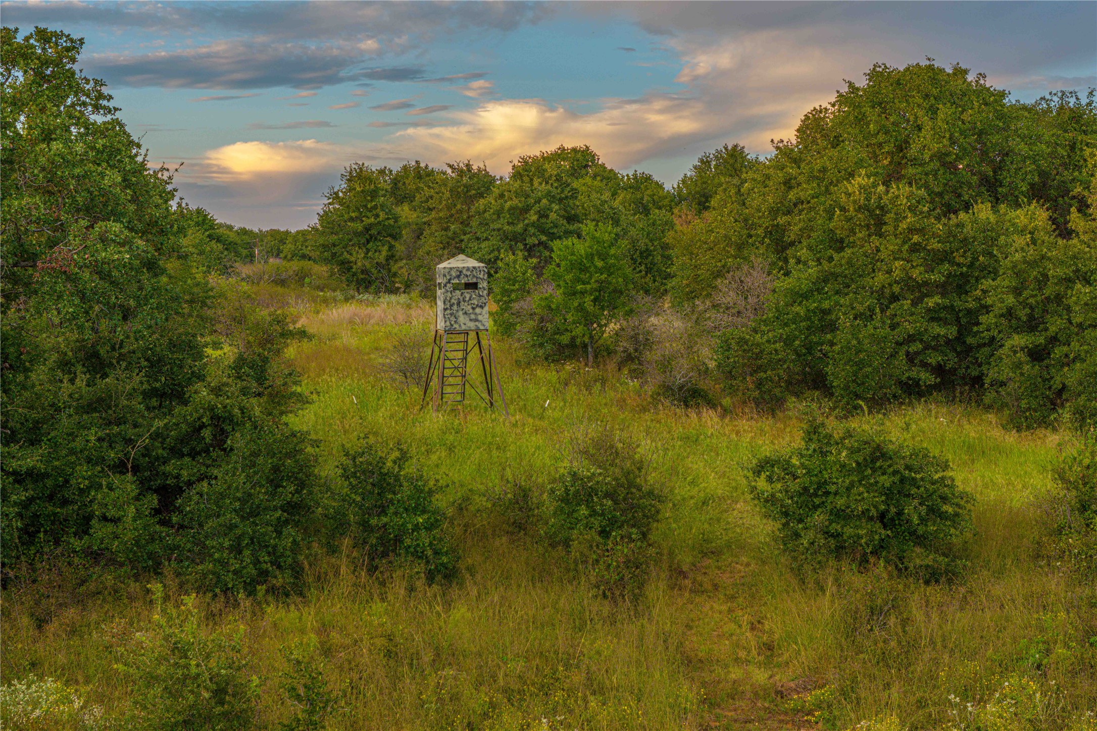Tbd 148 Highway Jacksboro TX 76458