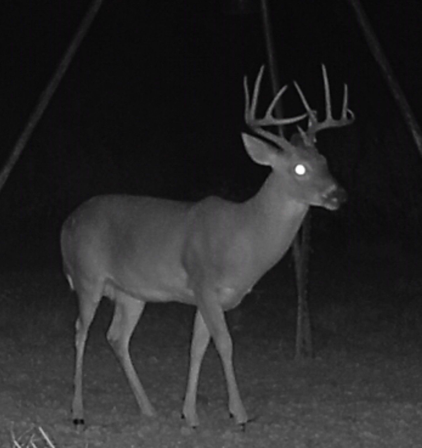 Tbd 148 Highway Jacksboro TX 76458