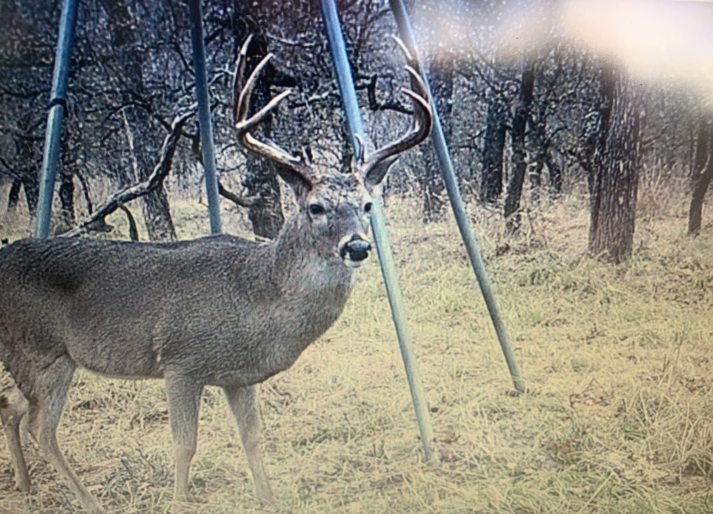 Tbd 148 Highway Jacksboro TX 76458