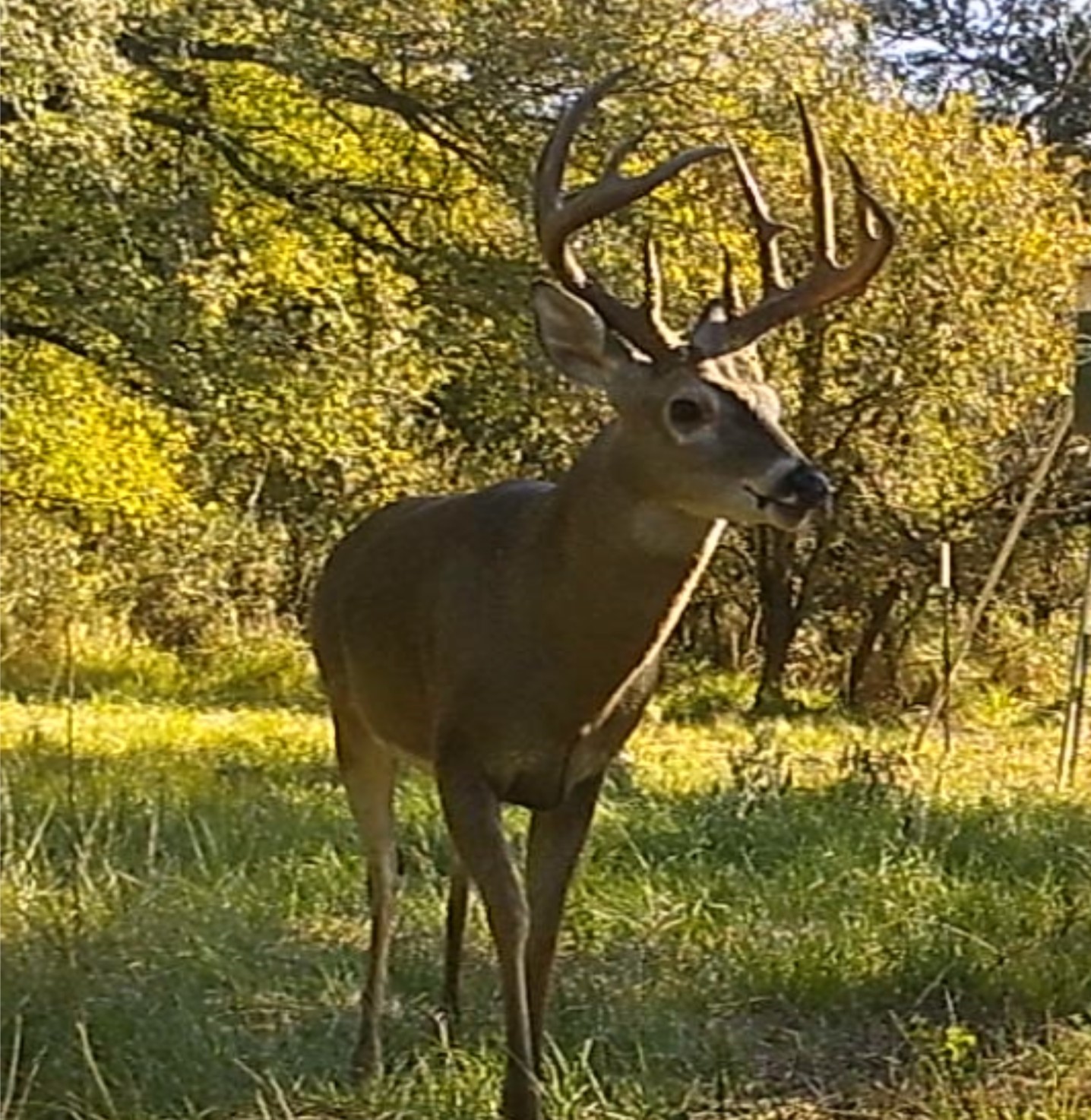 Tbd 148 Highway Jacksboro TX 76458