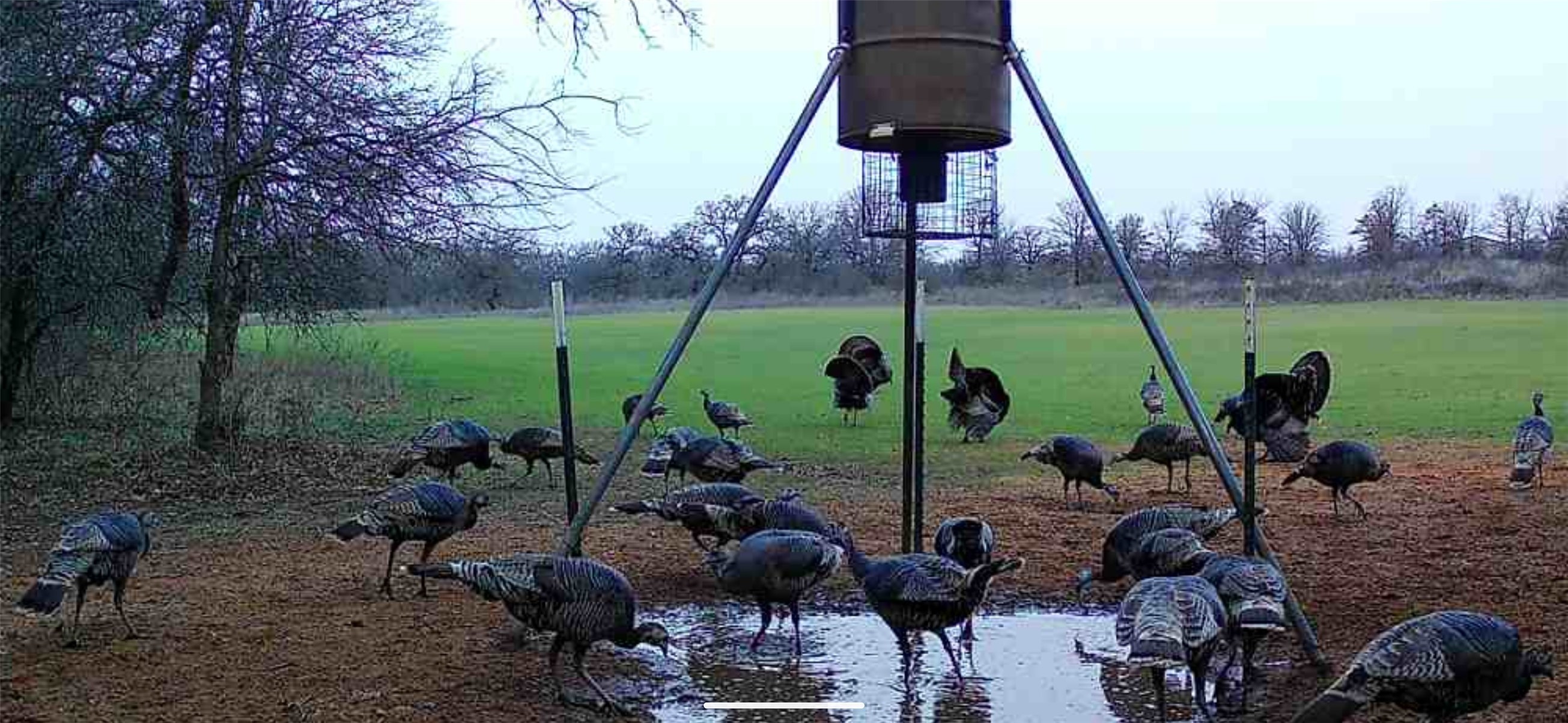 Tbd 148 Highway Jacksboro TX 76458