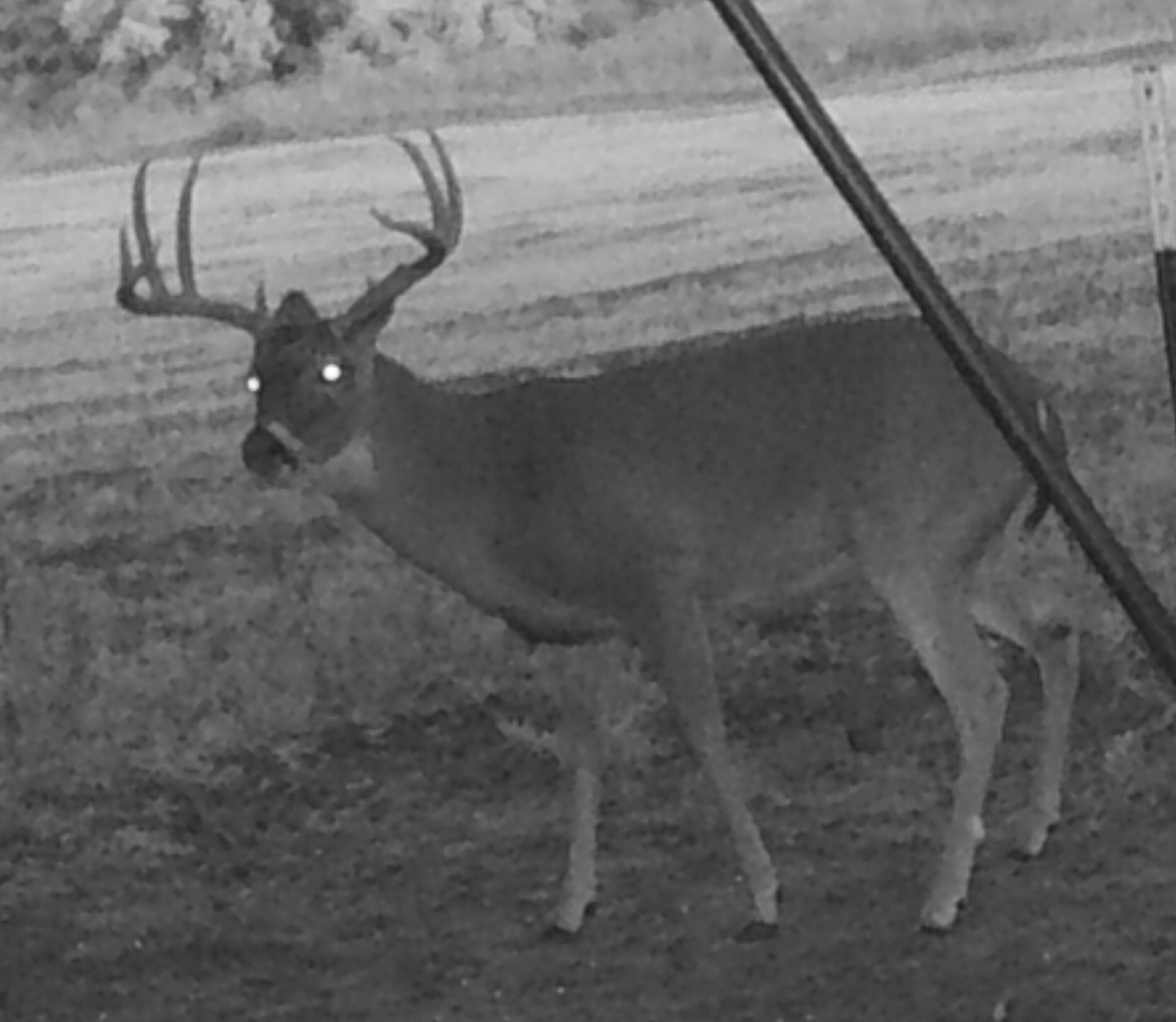 Tbd 148 Highway Jacksboro TX 76458