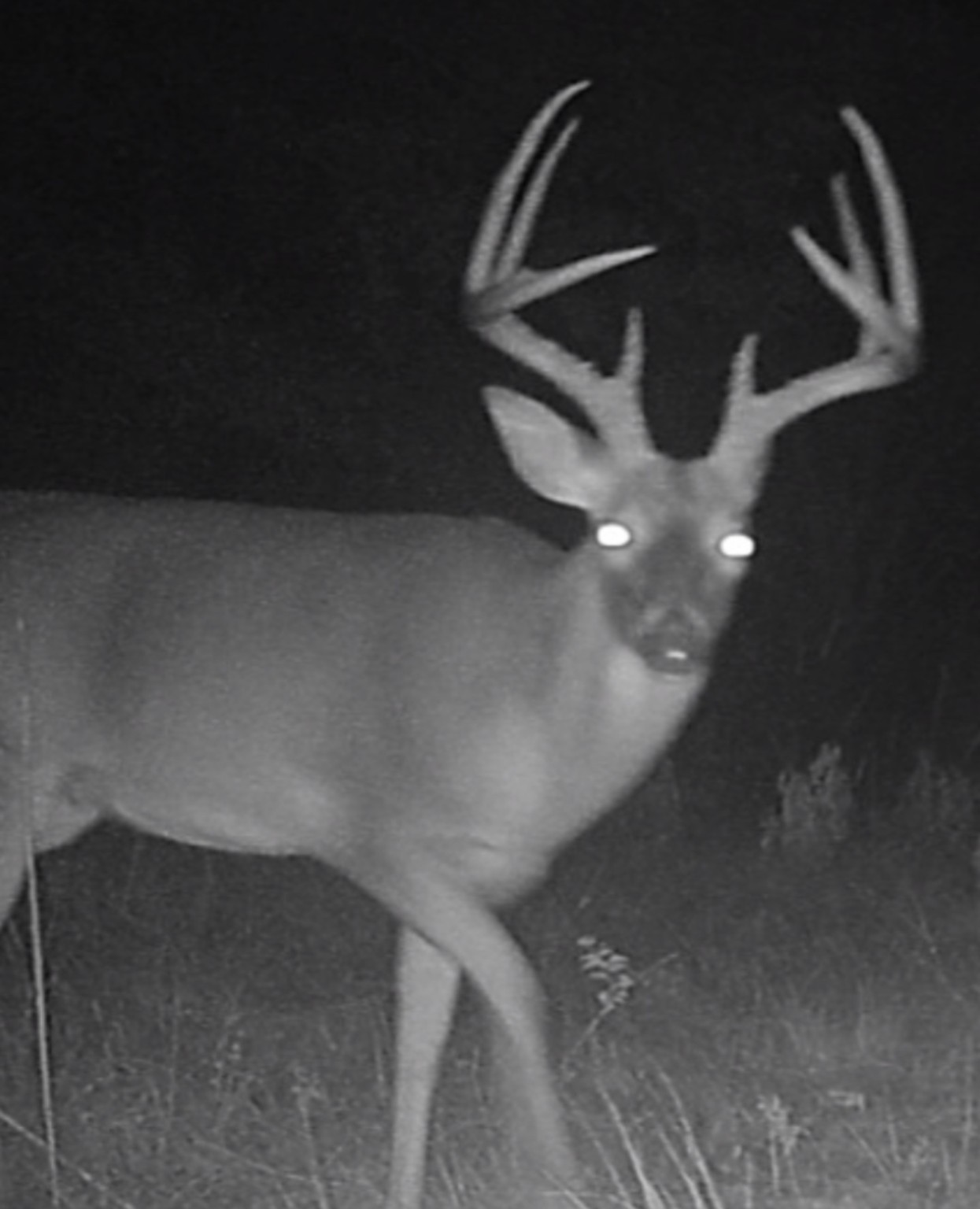 Tbd 148 Highway Jacksboro TX 76458