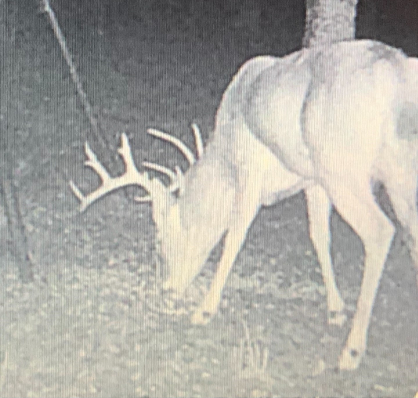 Tbd 148 Highway Jacksboro TX 76458