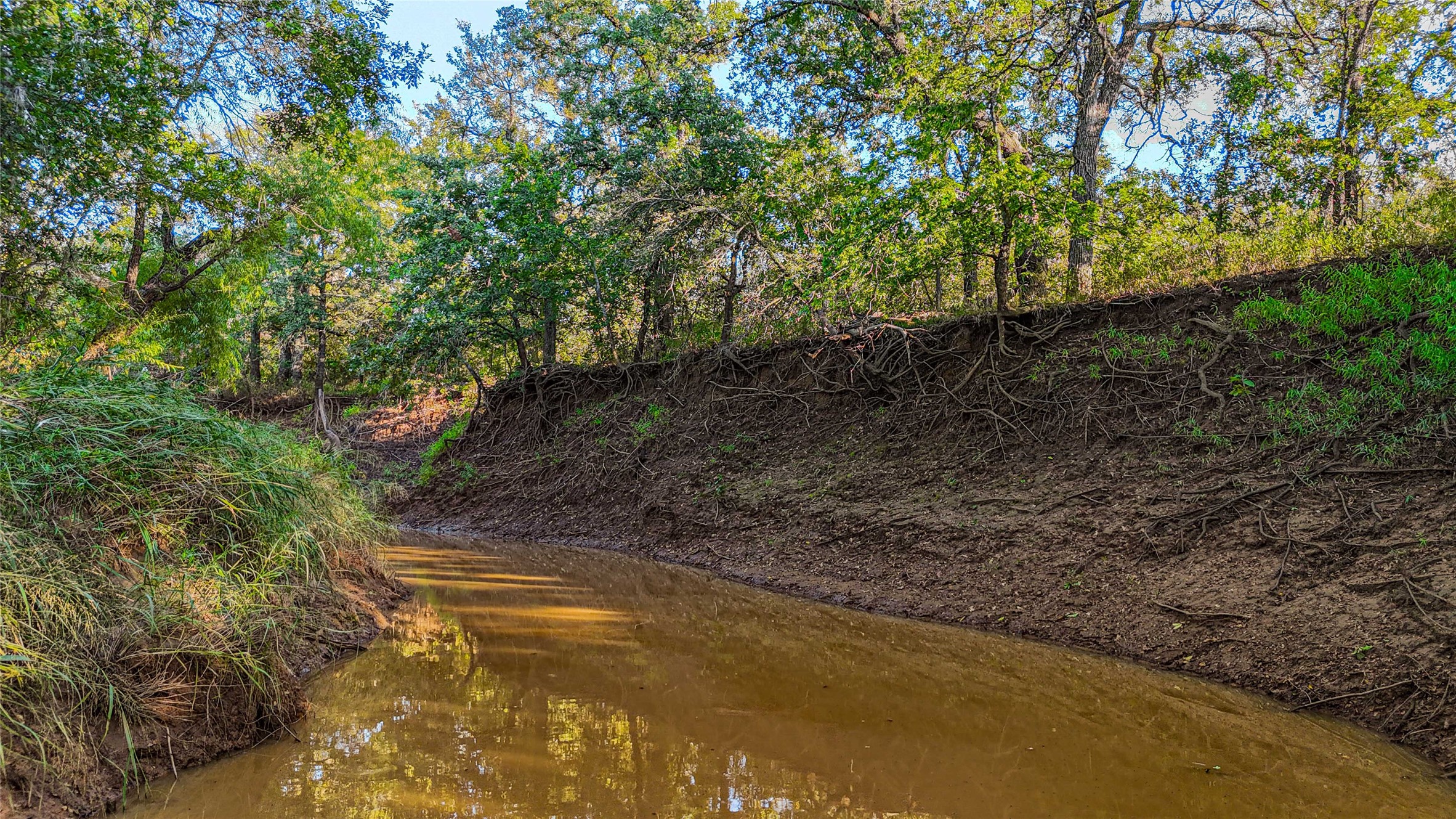 Tbd 148 Highway Jacksboro TX 76458