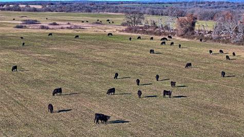 Tbd Fm 1806 Montague TX 76251