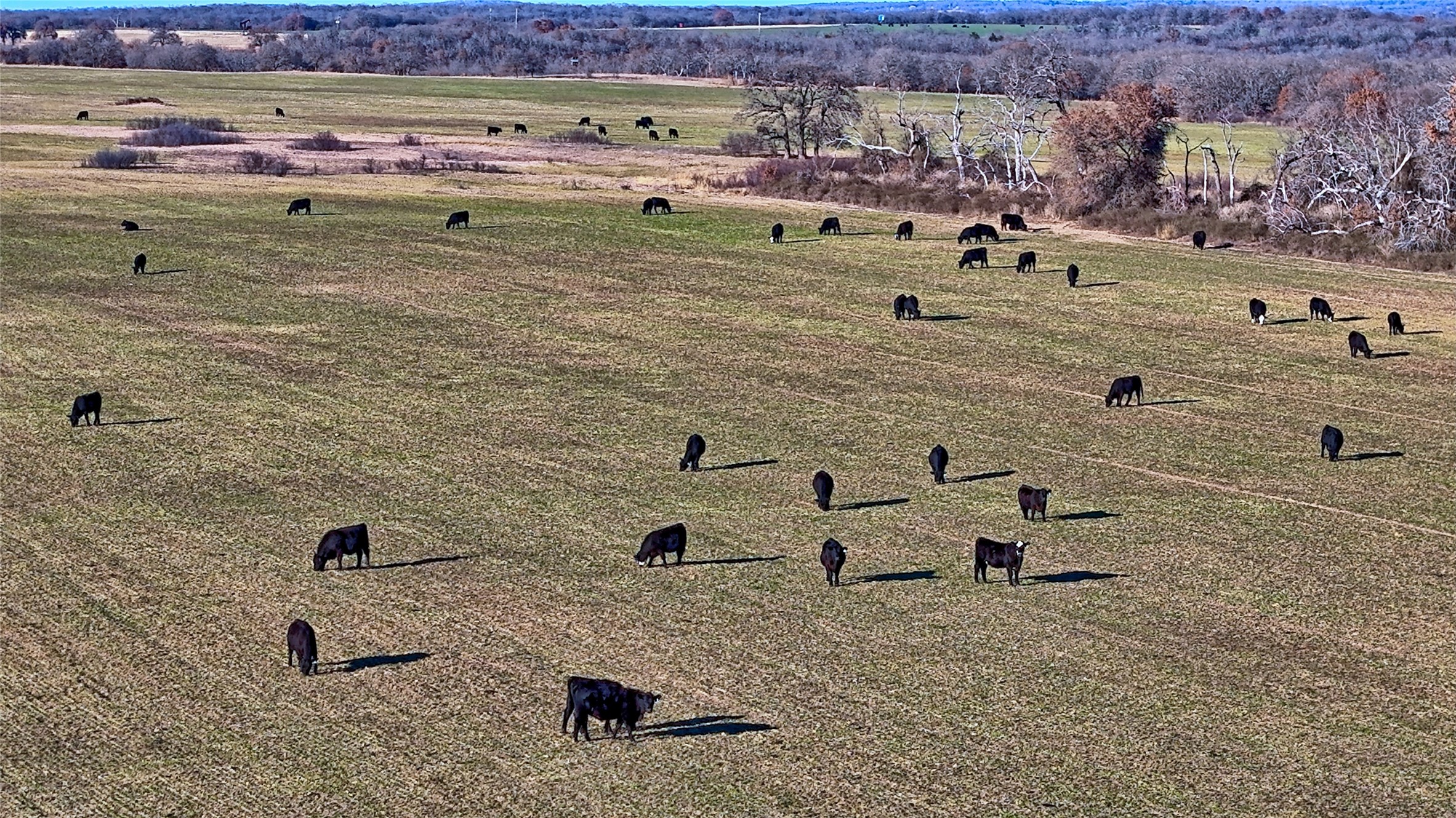 Tbd Fm 1806 Montague TX 76251