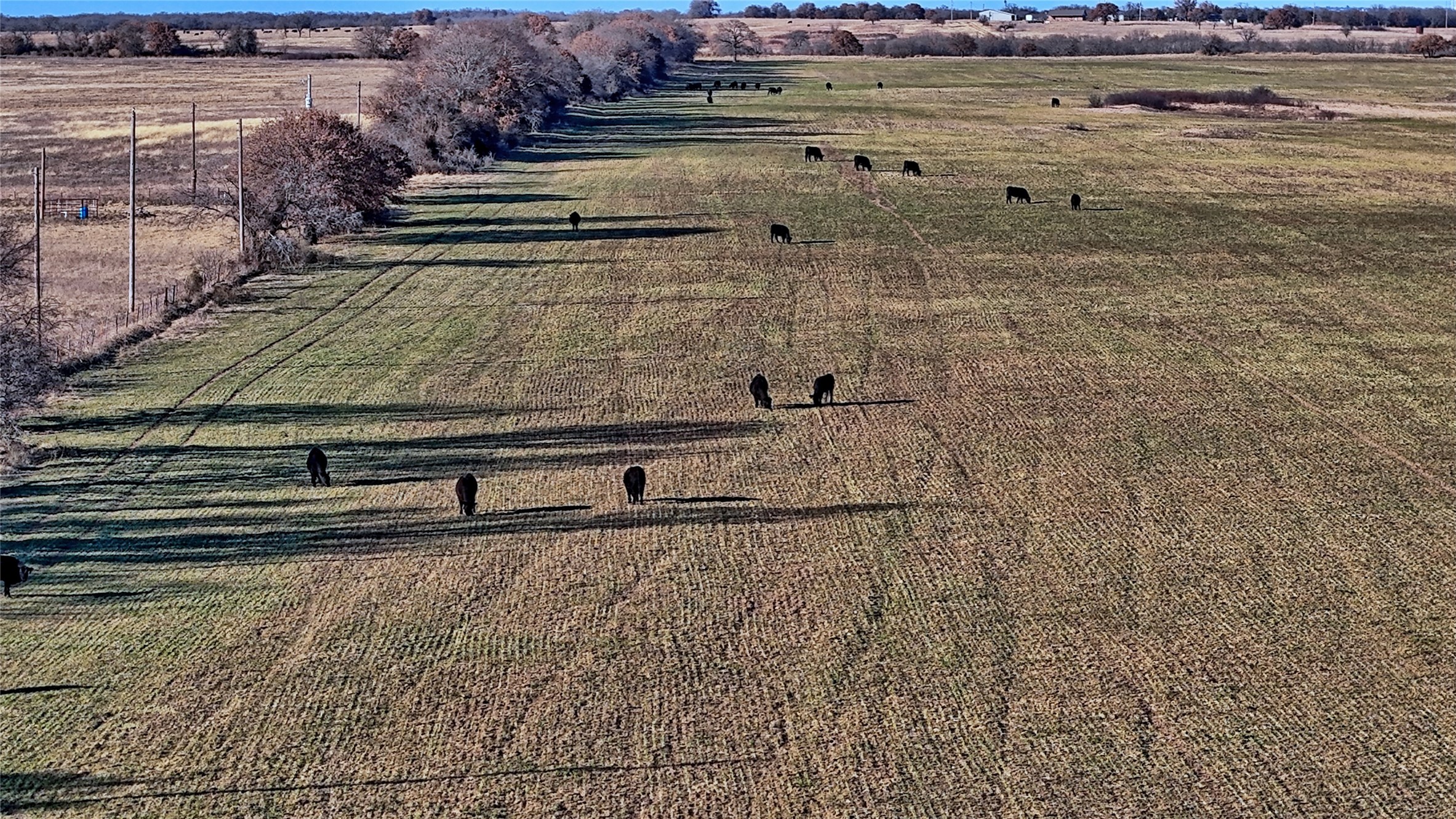 Tbd Fm 1806 Montague TX 76251