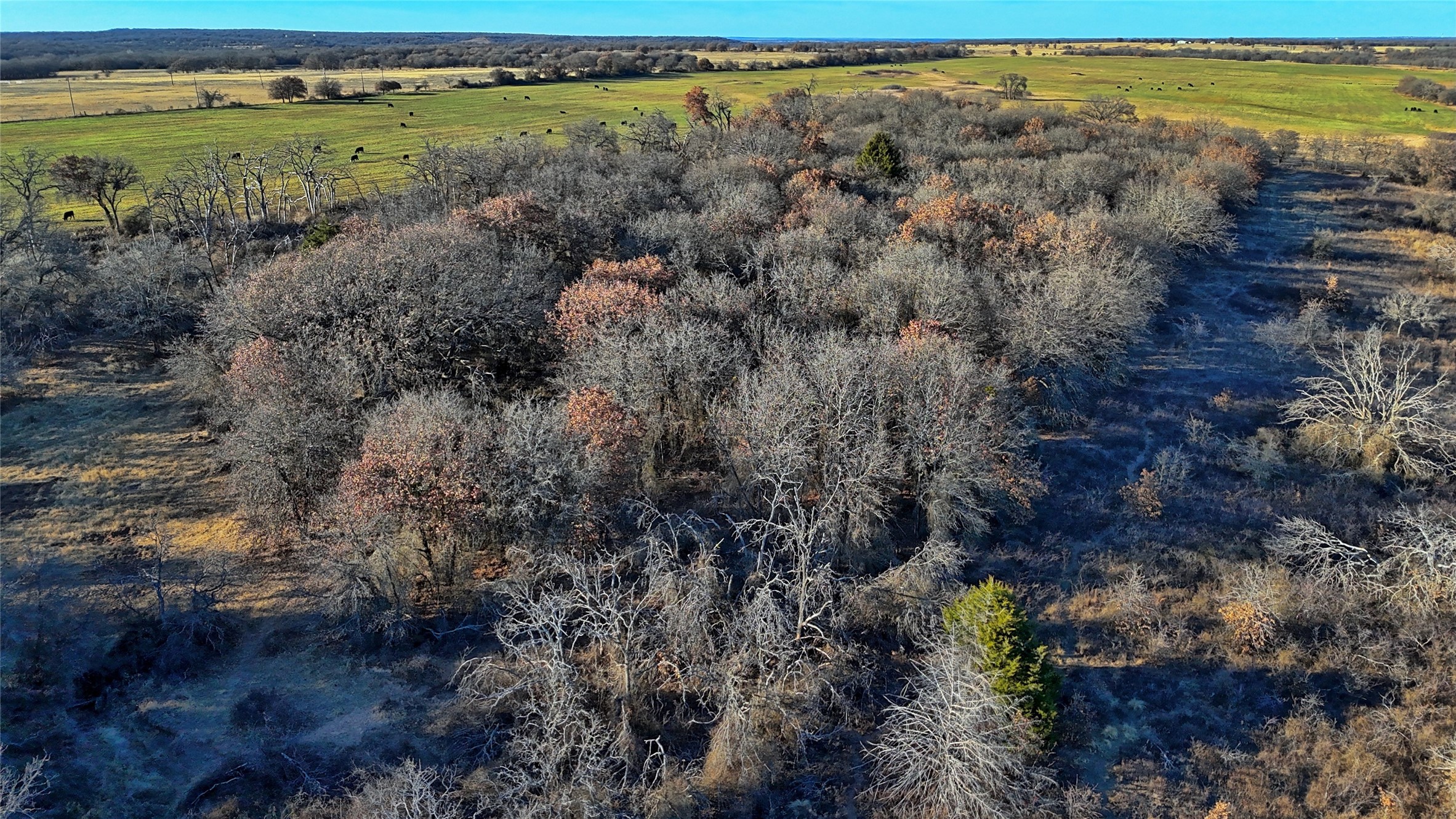 Tbd Fm 1806 Montague TX 76251