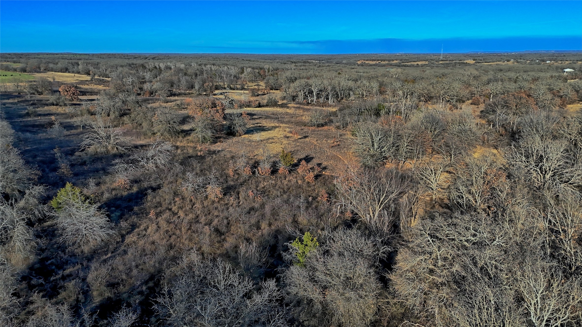 Tbd Fm 1806 Montague TX 76251