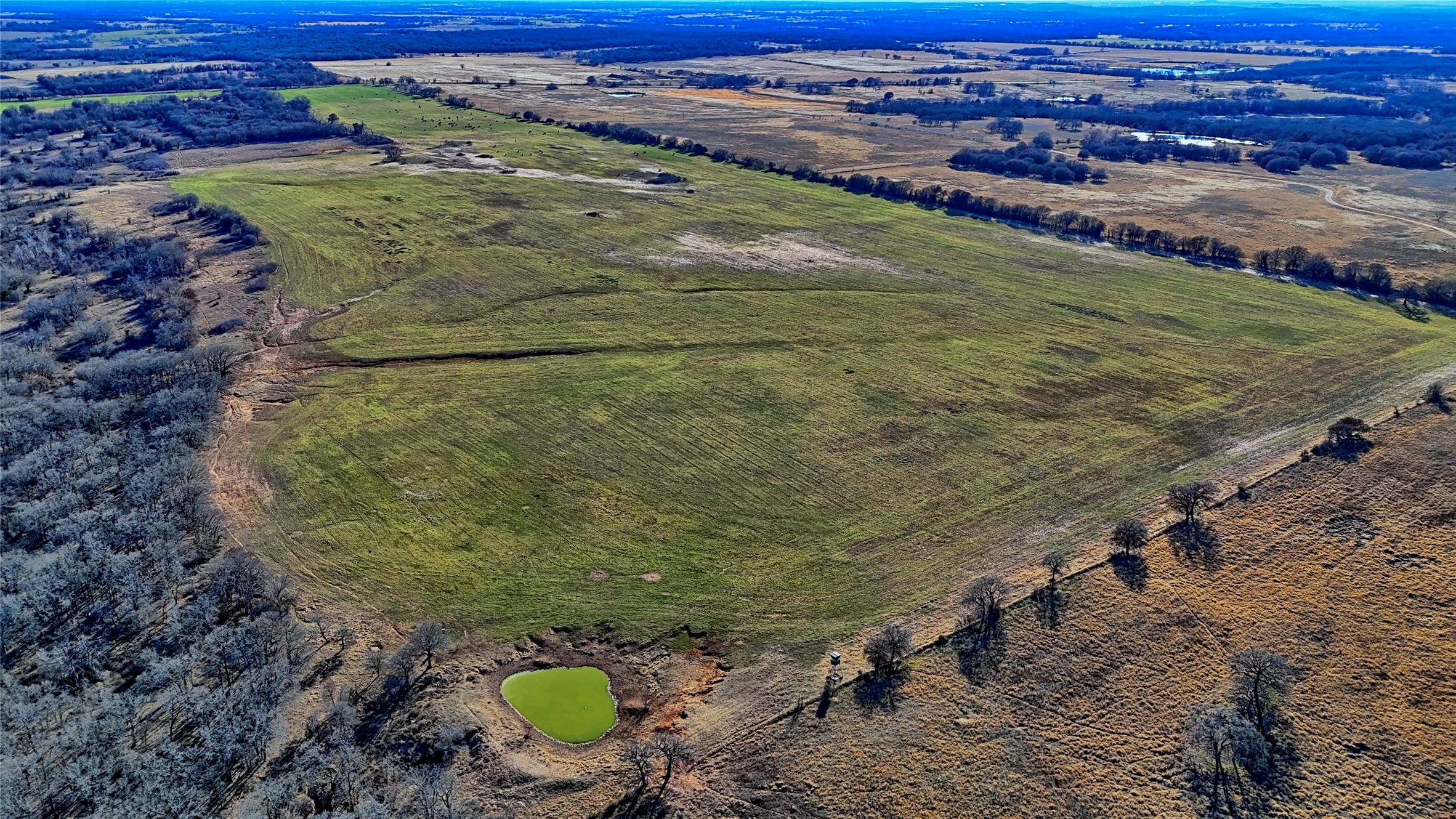 Tbd Fm 1806 Montague TX 76251