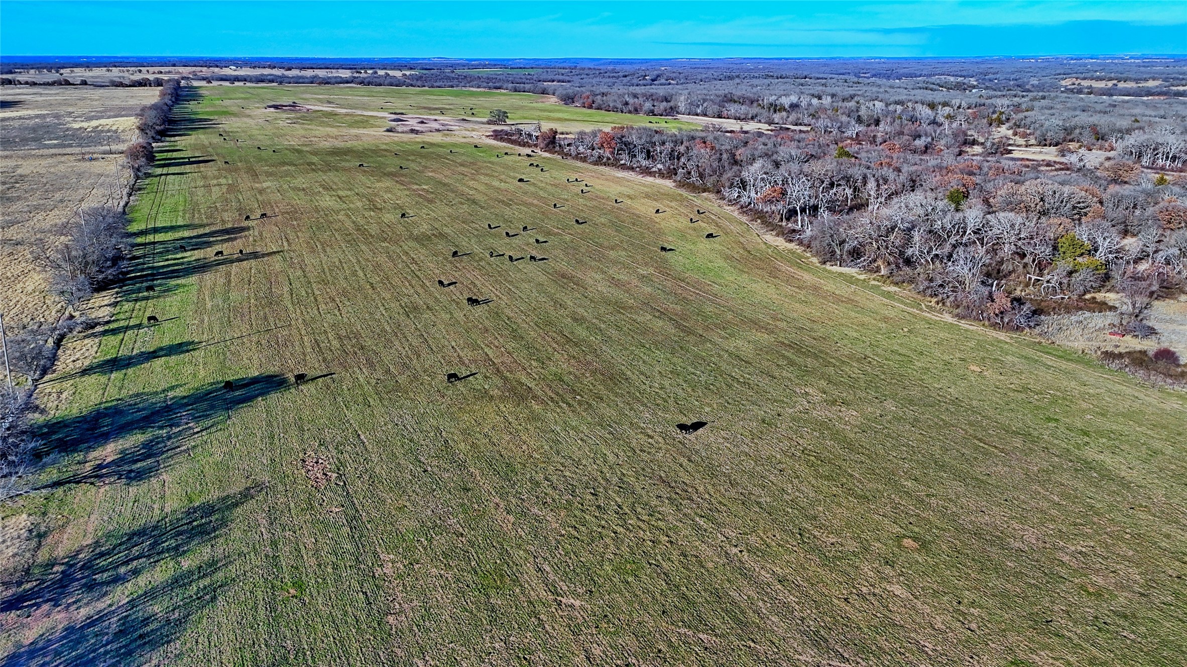 Tbd Fm 1806 Montague TX 76251