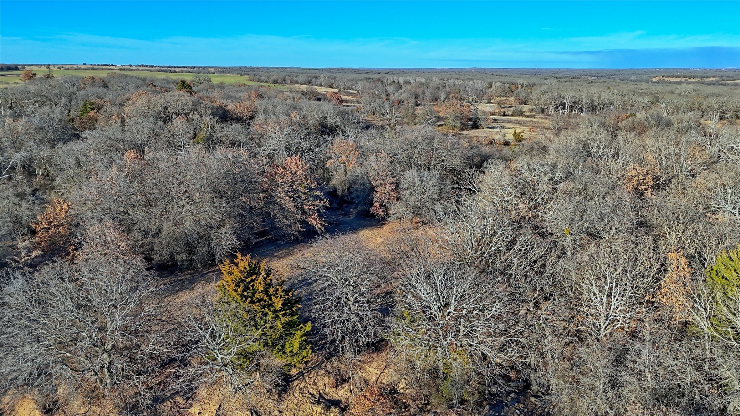 Tbd Fm 1806 Montague TX 76251