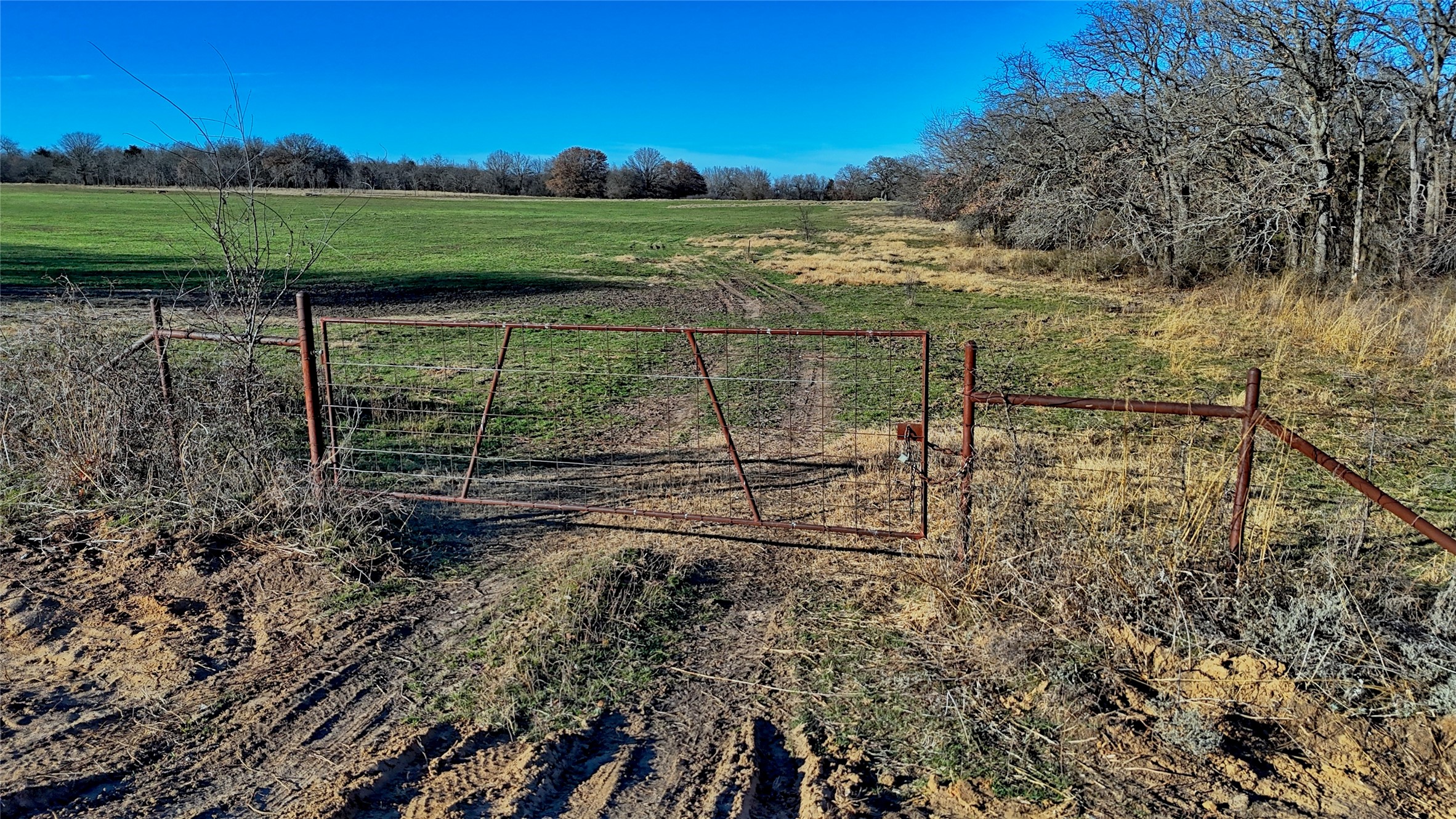 Tbd Fm 1806 Montague TX 76251