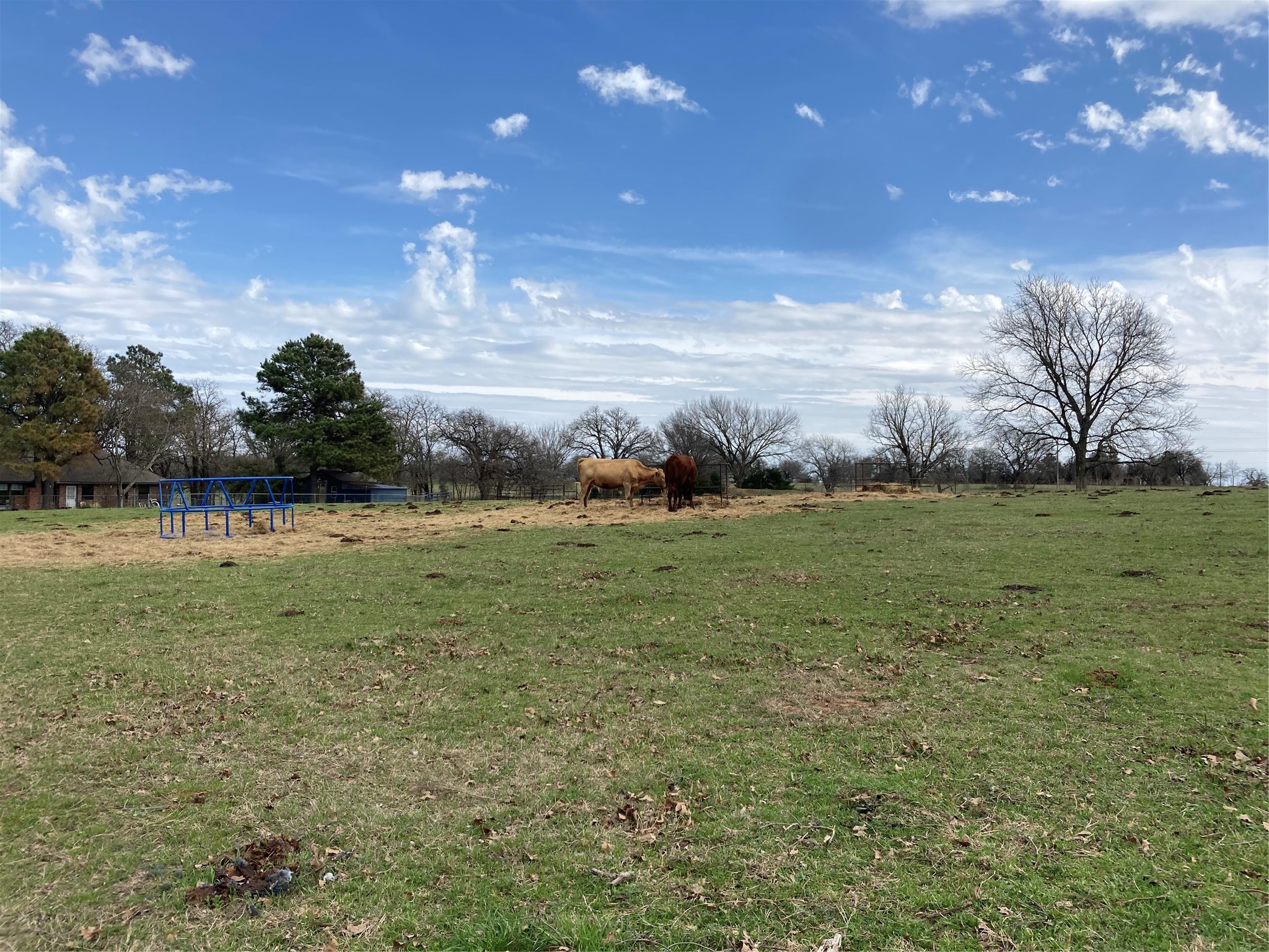 0 Tbd Hcr 1414 Covington TX 76636