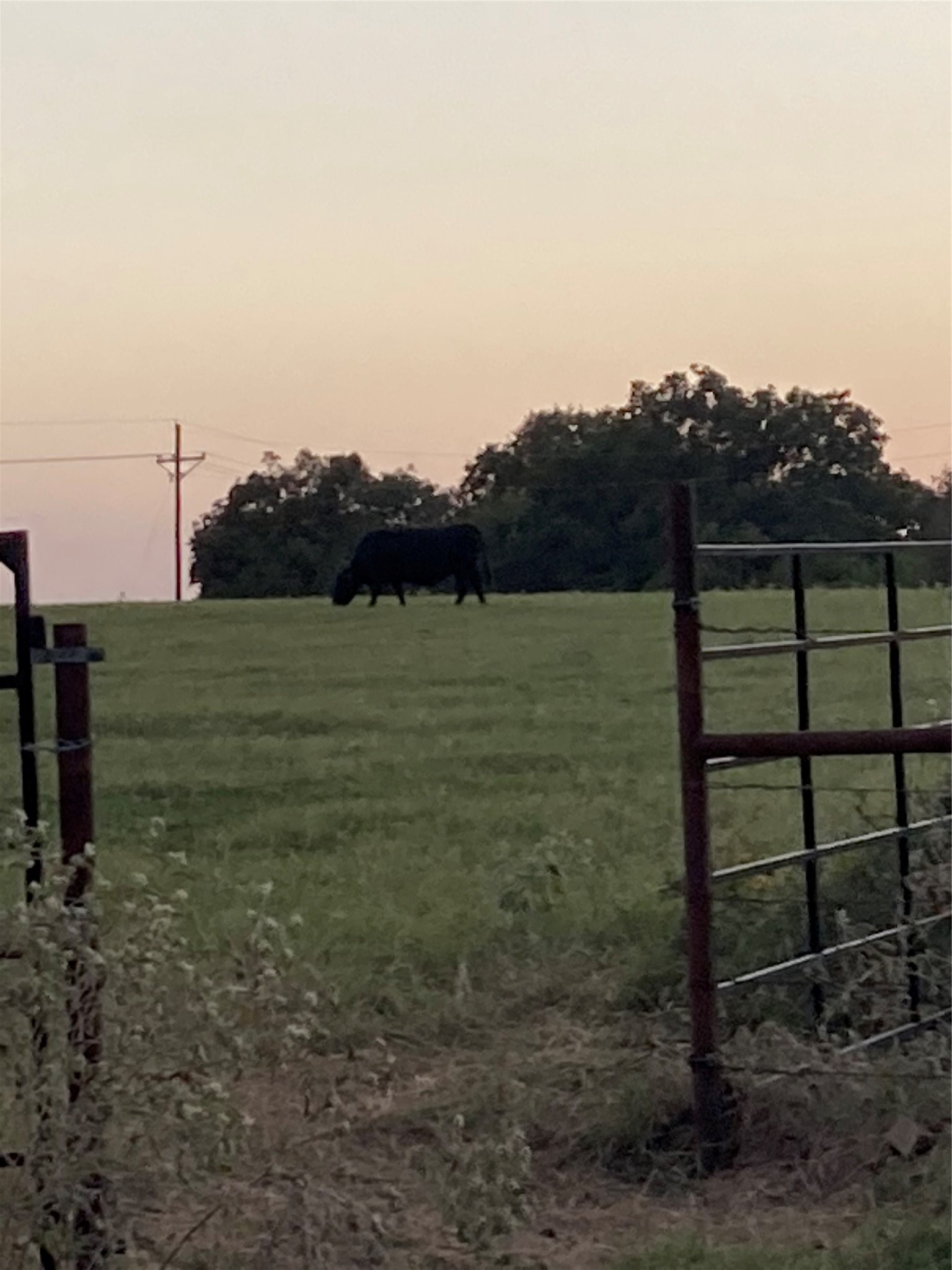 0 Tbd Hcr 1414 Covington TX 76636