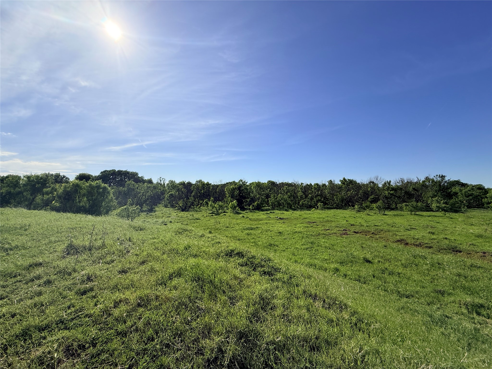 0000 Troy Davis Road Olney TX 76374
