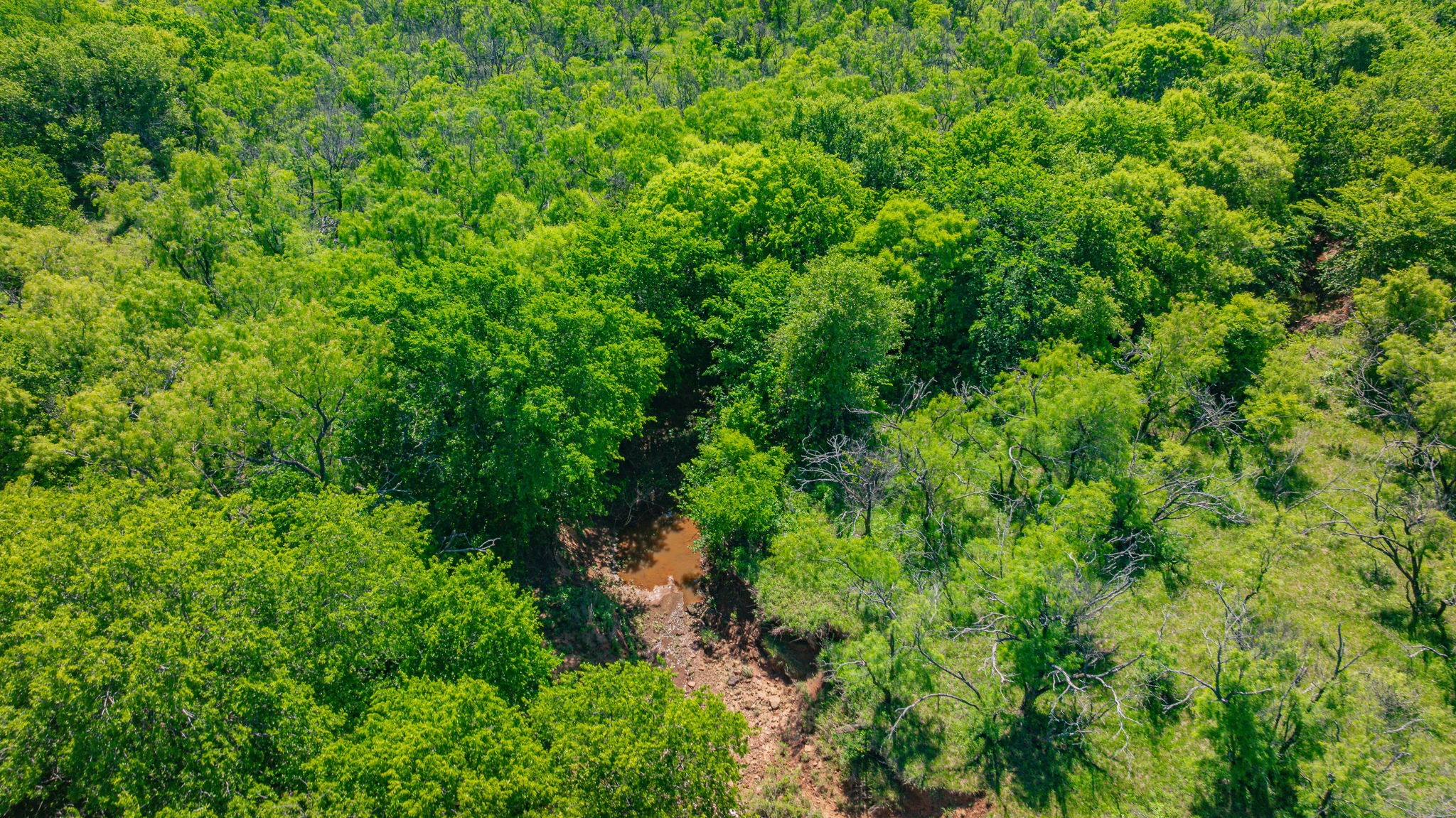 0000 Troy Davis Road Olney TX 76374
