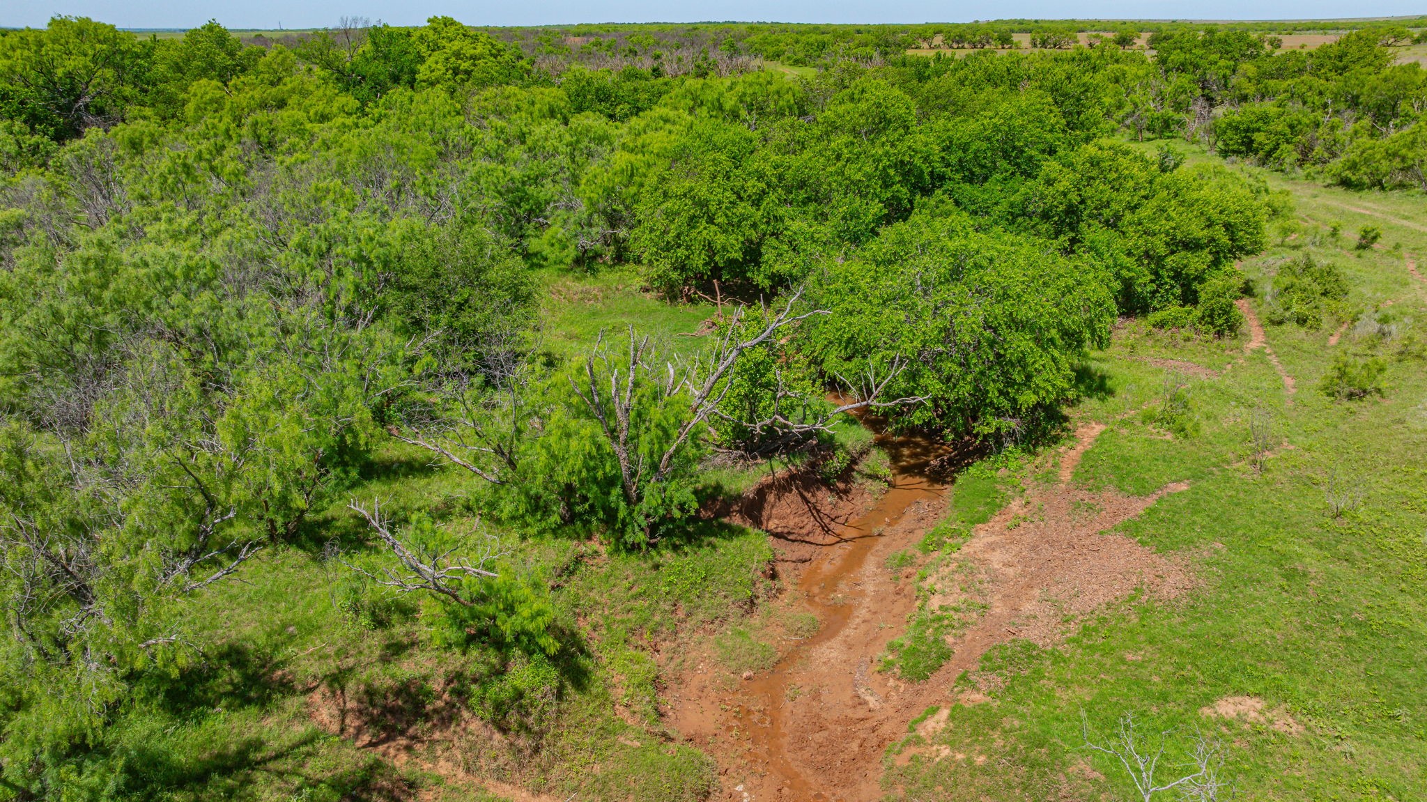 0000 Troy Davis Road Olney TX 76374