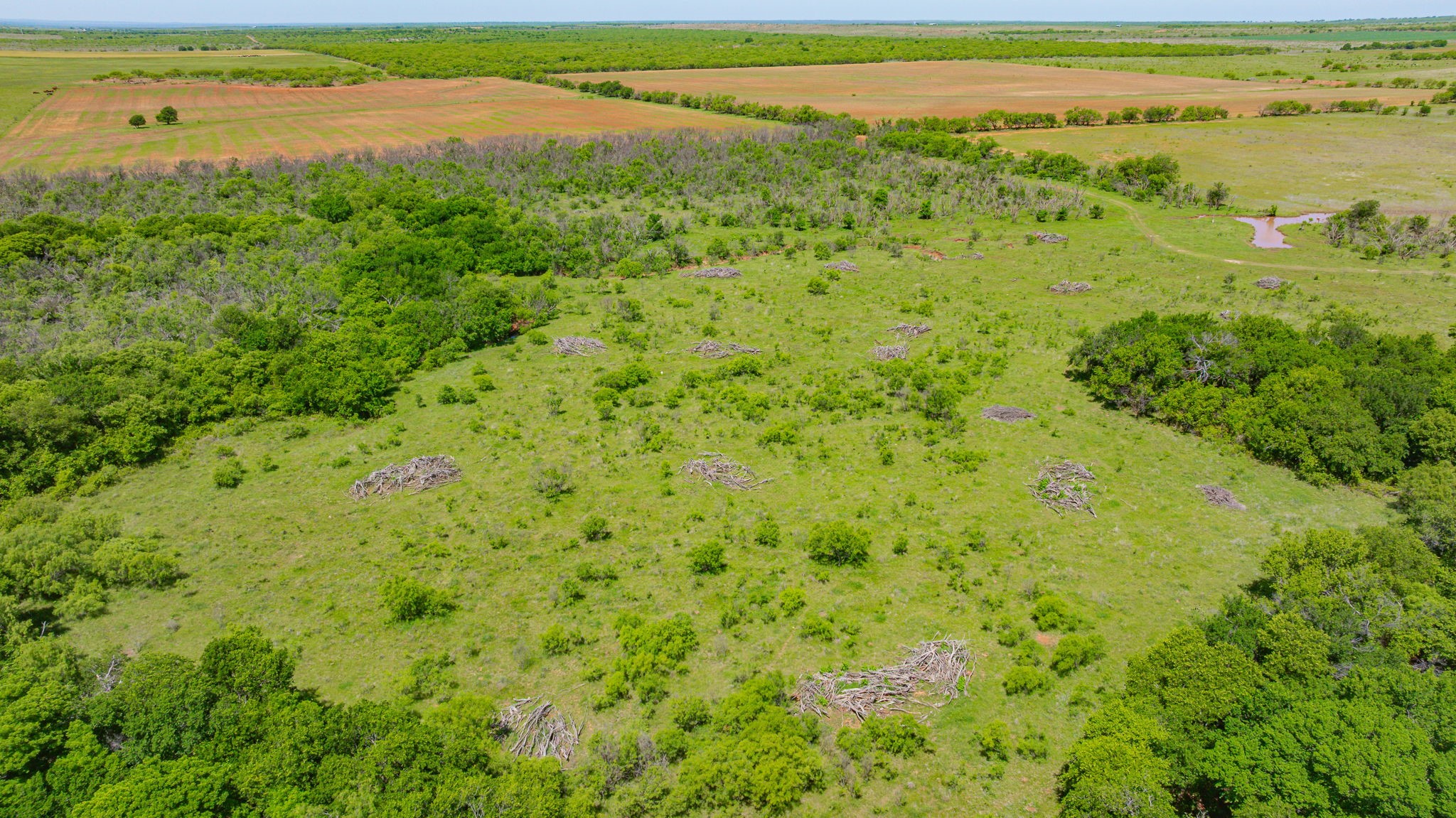 0000 Troy Davis Road Olney TX 76374