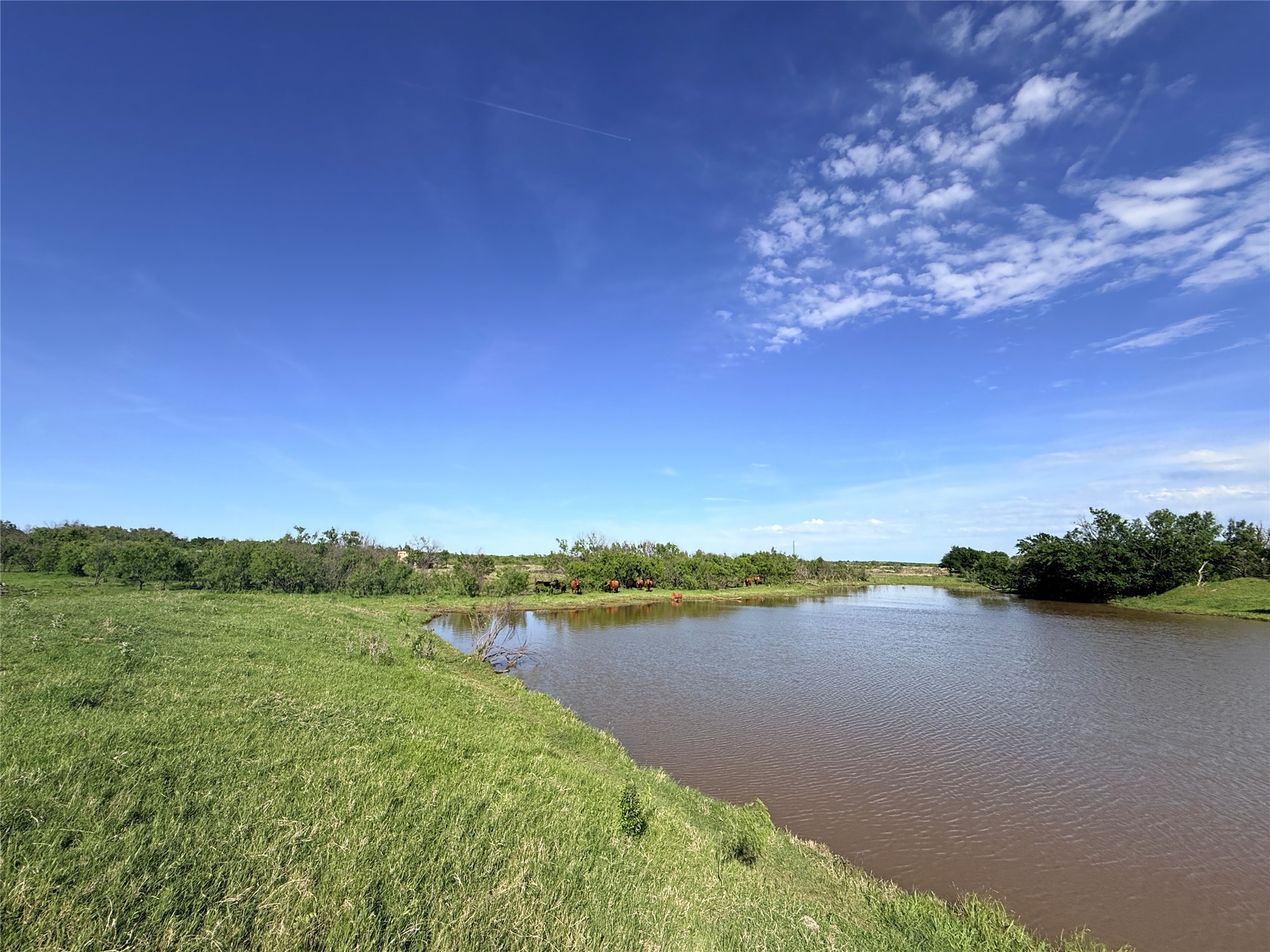 0000 Troy Davis Road Olney TX 76374