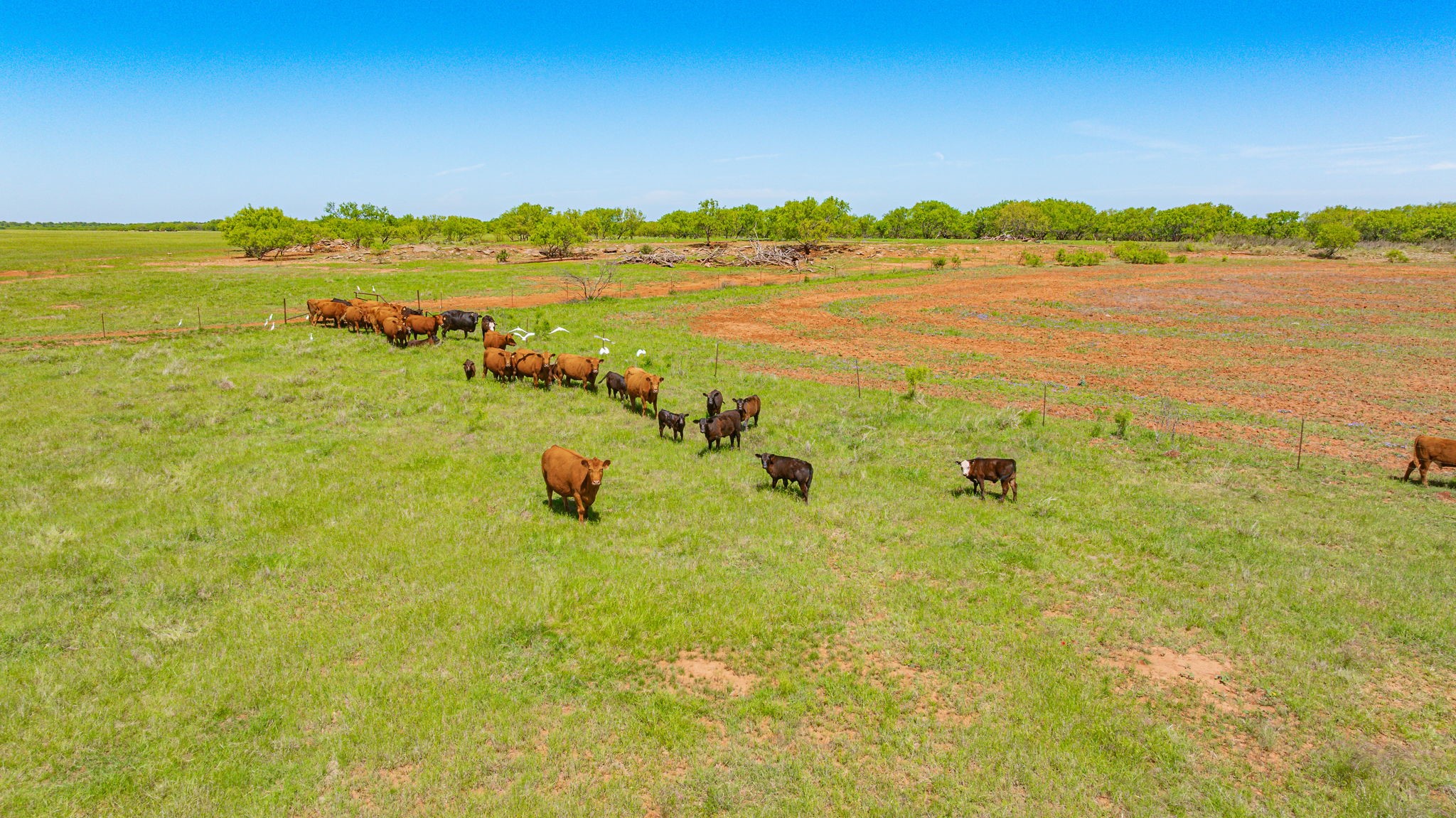 0000 Troy Davis Road Olney TX 76374