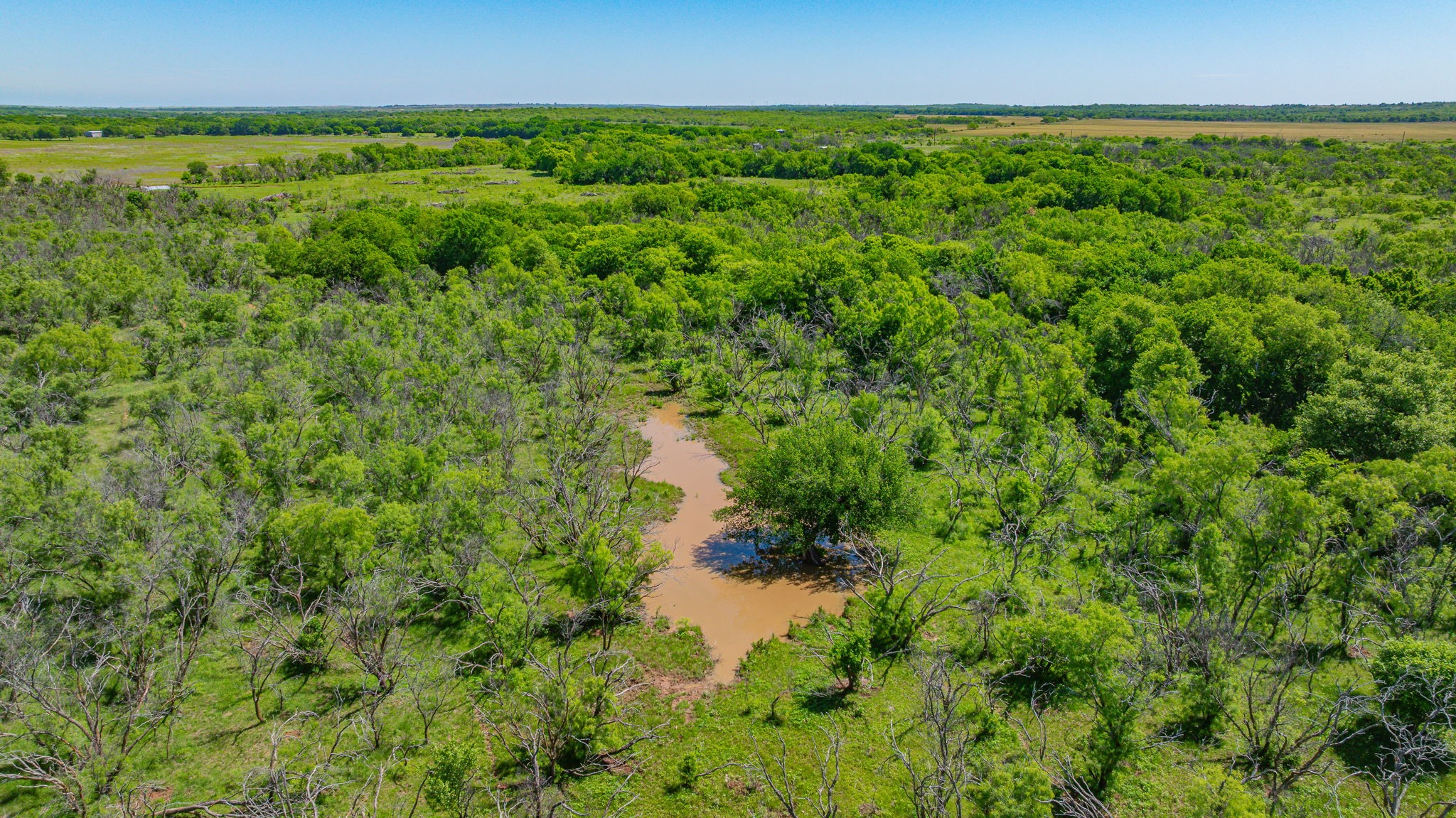 0000 Troy Davis Road Olney TX 76374