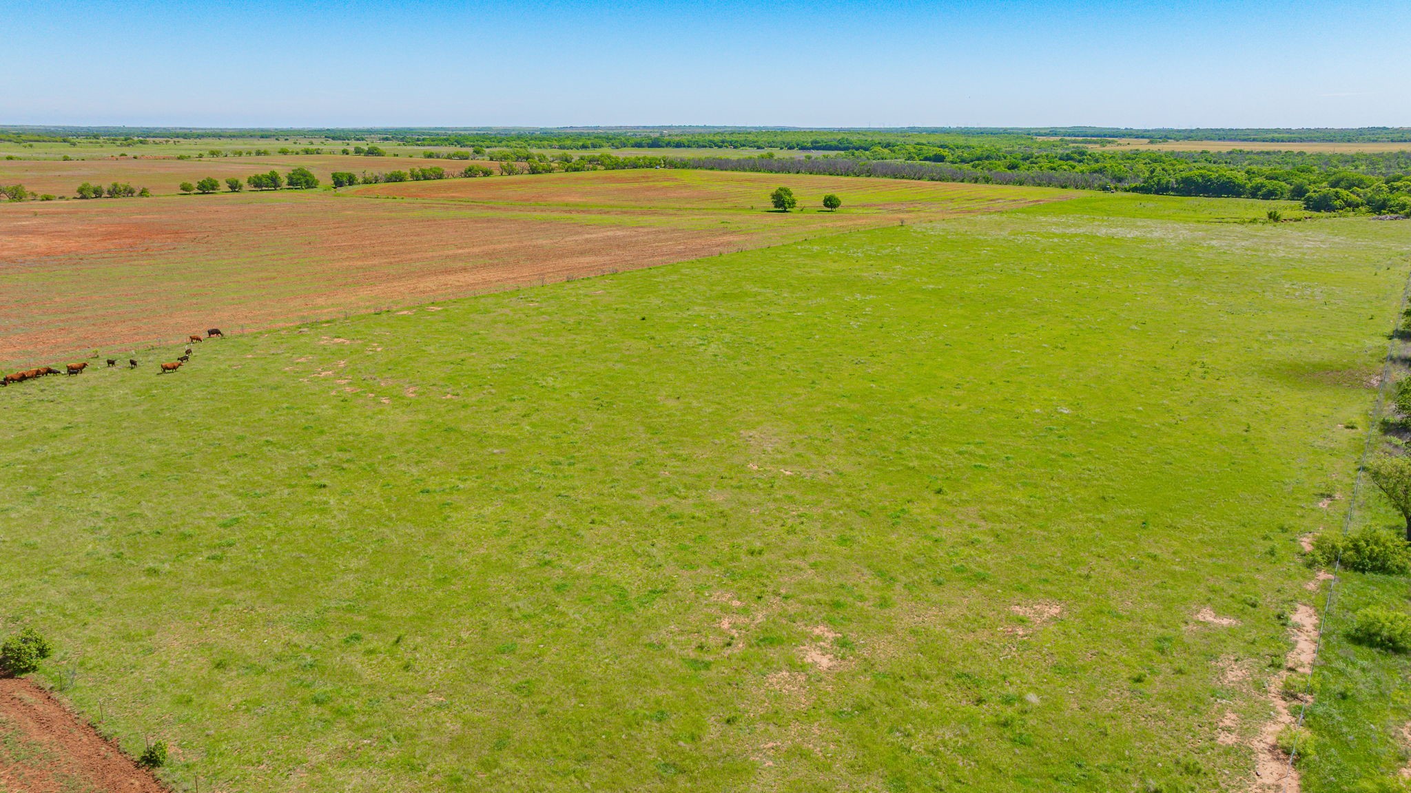0000 Troy Davis Road Olney TX 76374