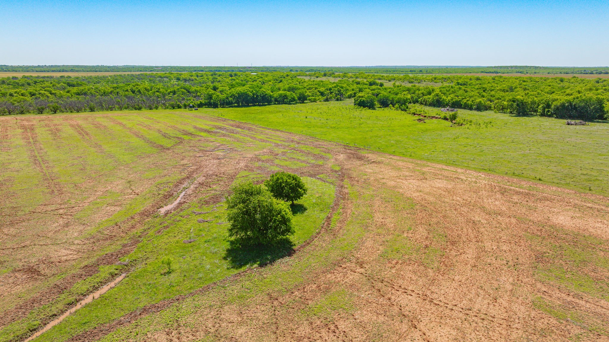 0000 Troy Davis Road Olney TX 76374
