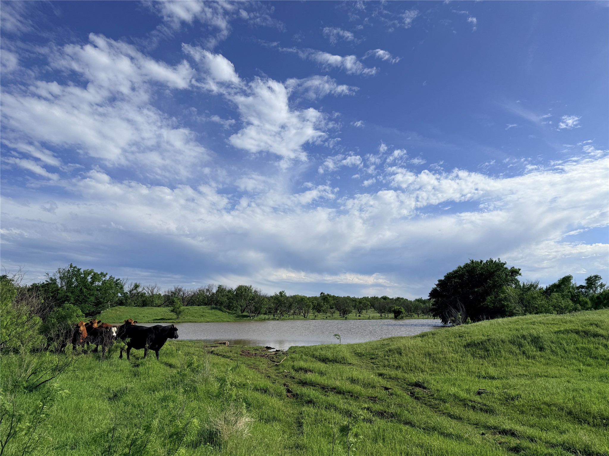 0000 Troy Davis Road Olney TX 76374